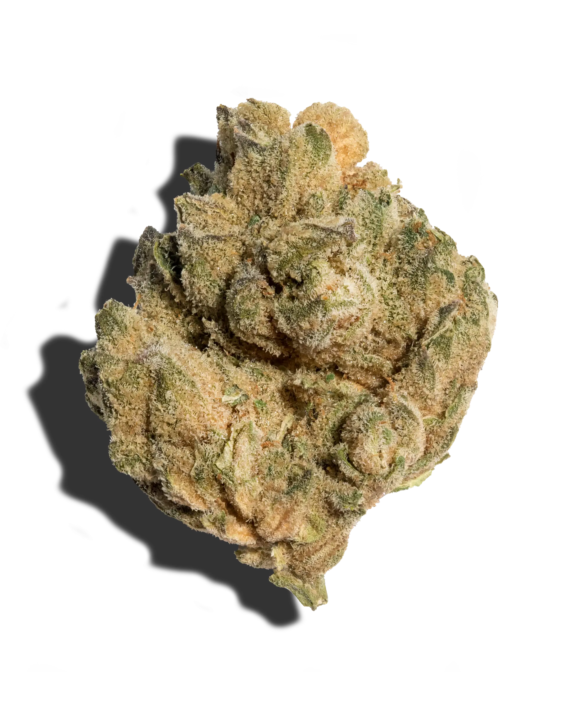 Cake Fritter 3.5g