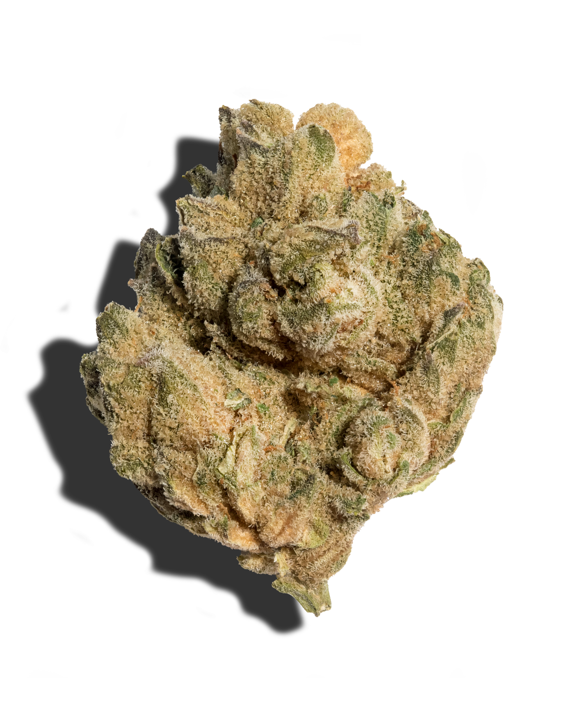 Cake Fritter Flower