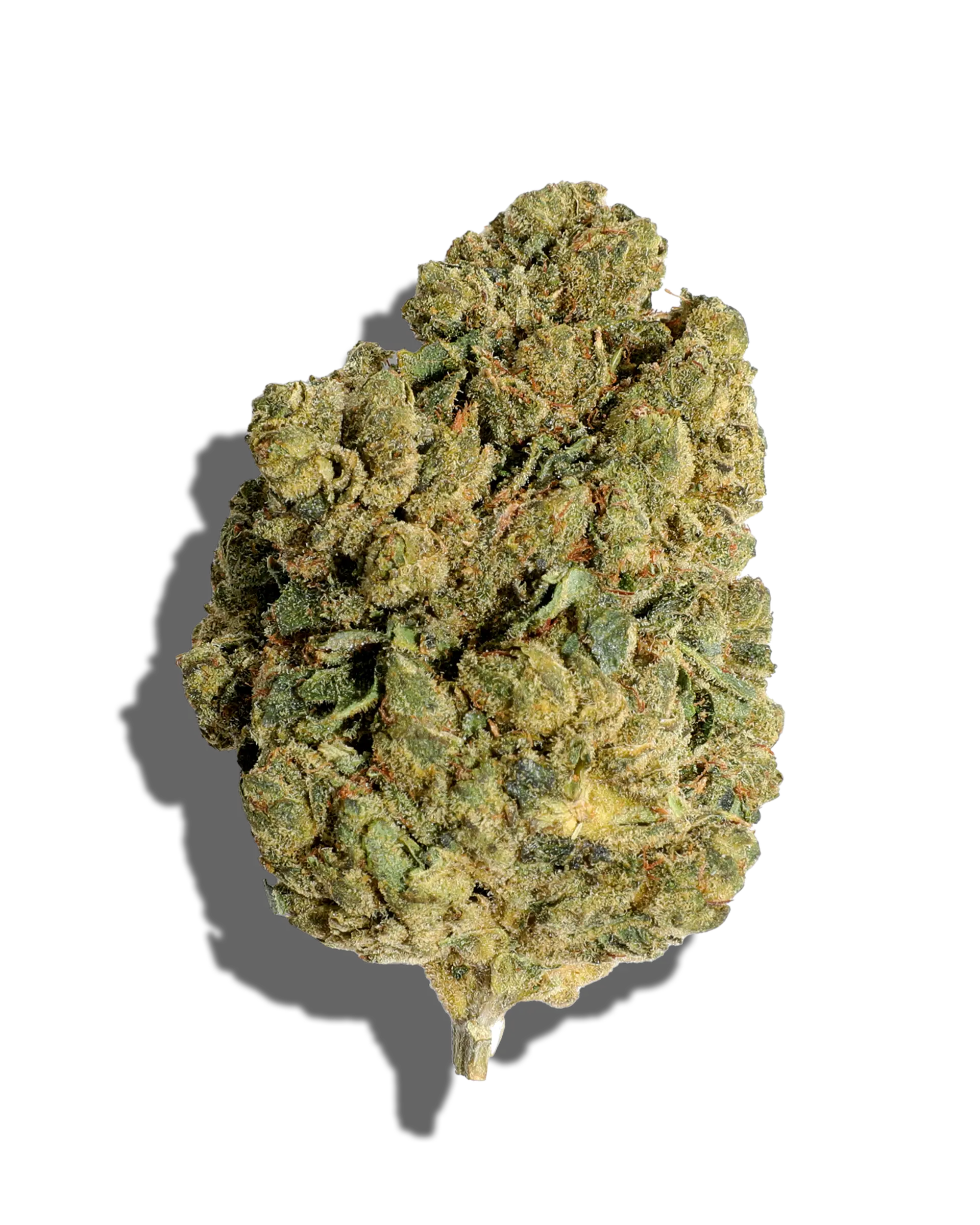 Triangle Larry Flower