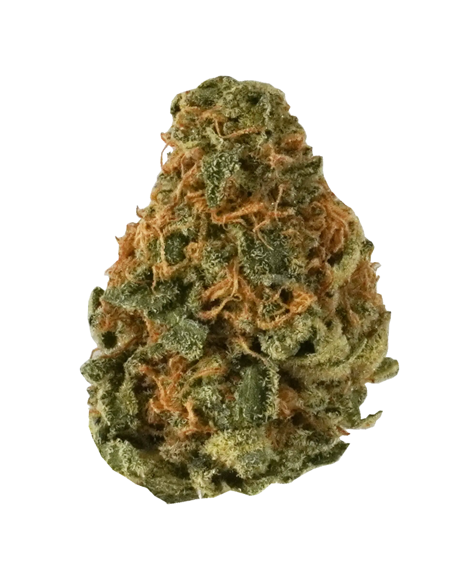 10th Planet 3.5g