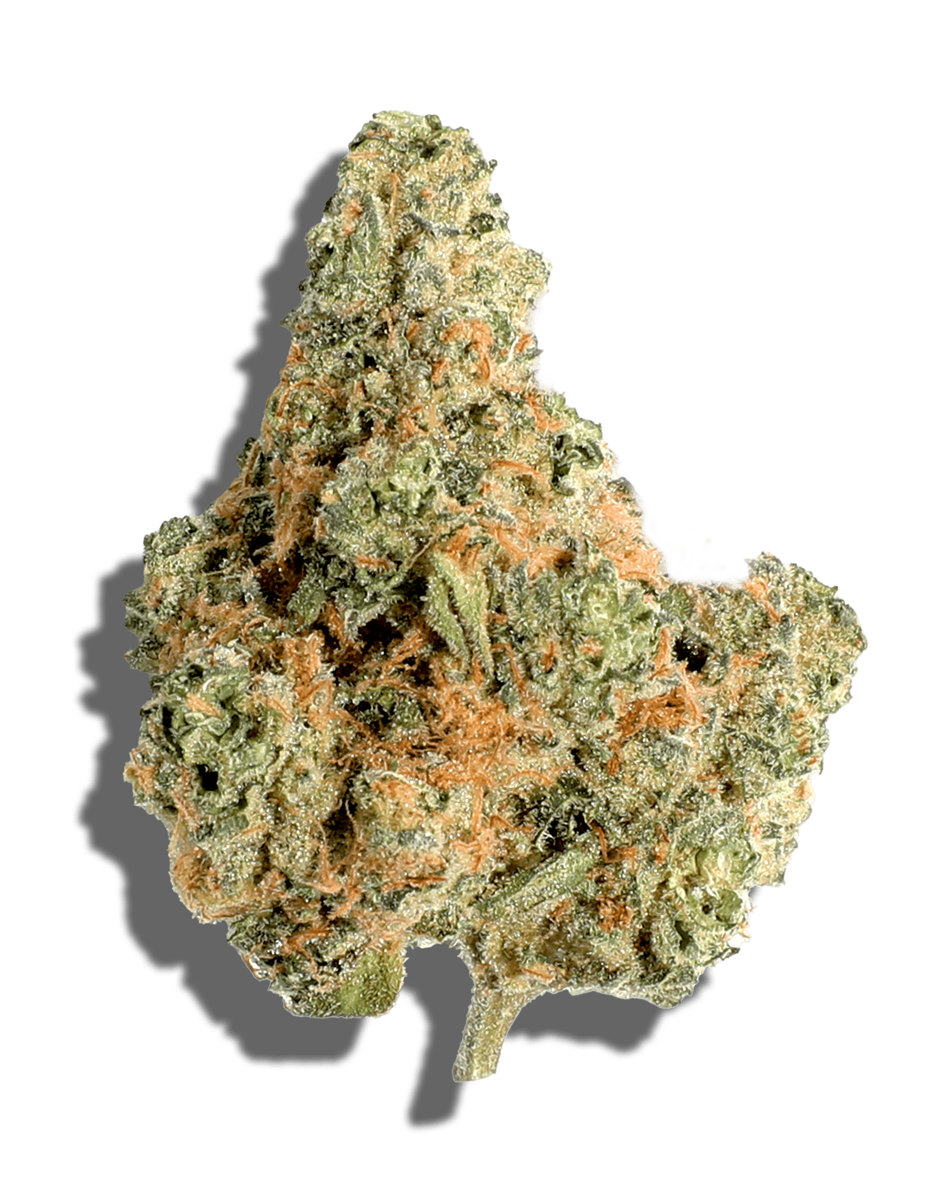 Deli - Rainbow Guava #5