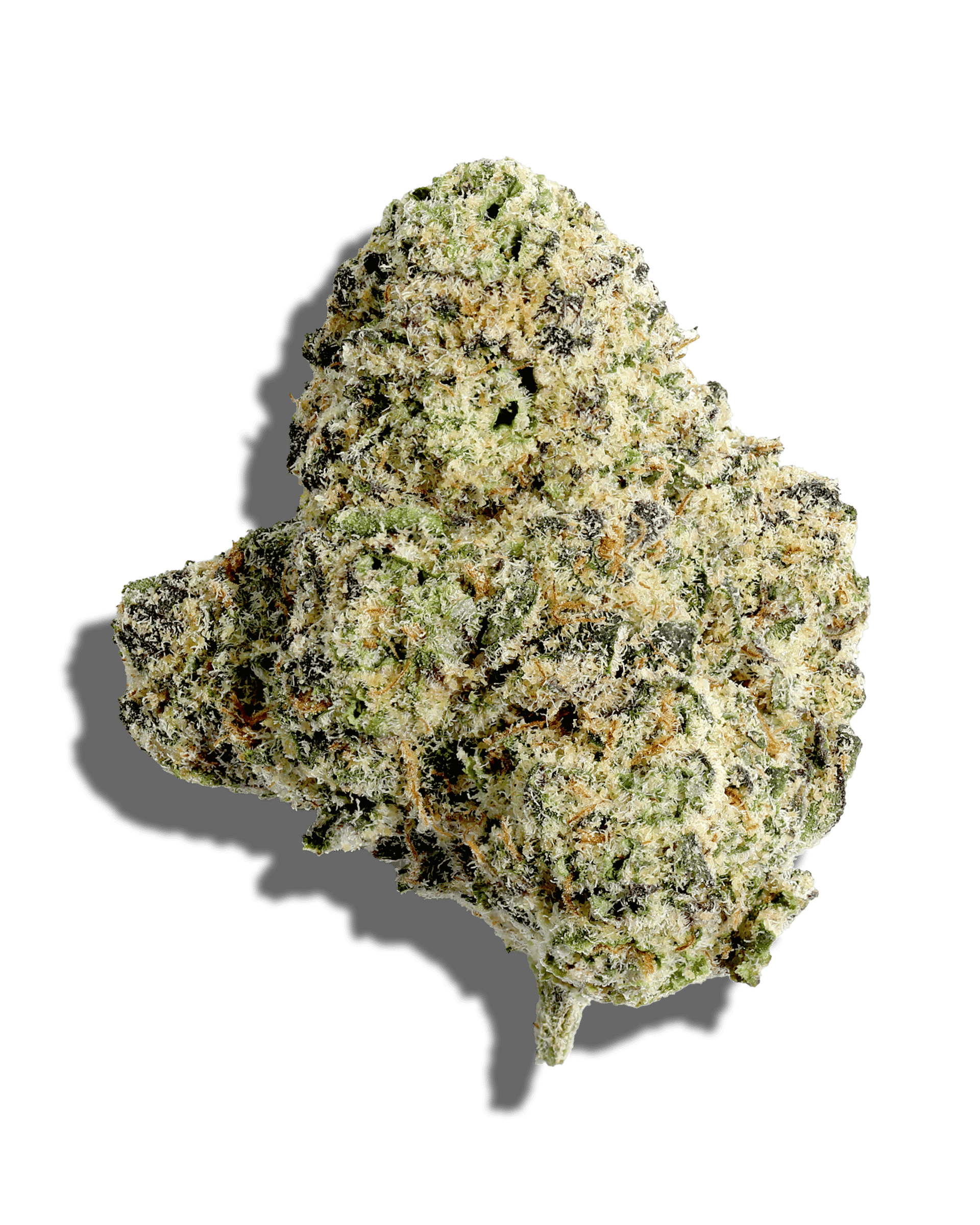 Acai Gelato X Sherb Bx1 1oz