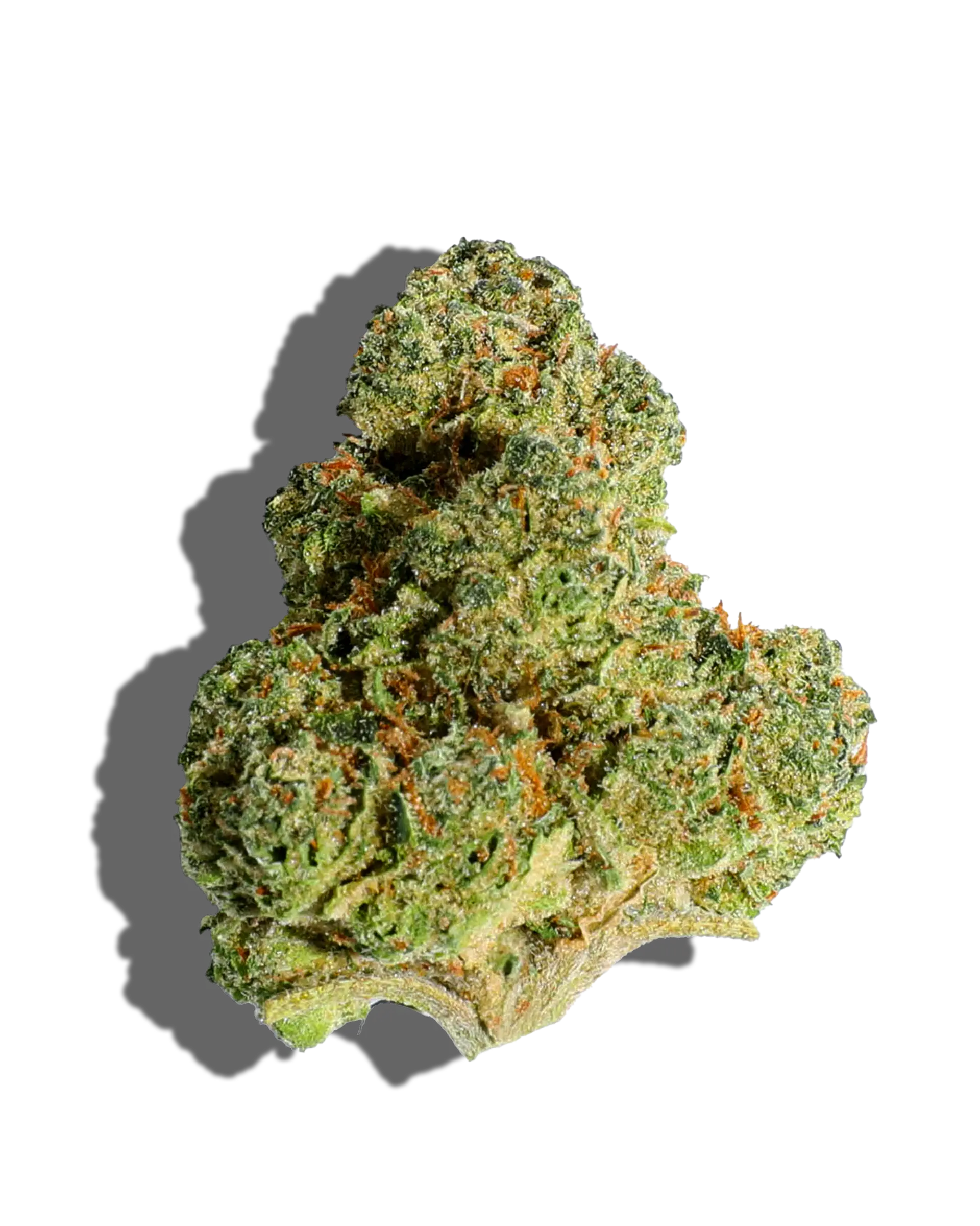 Vanilla Frosting 1oz