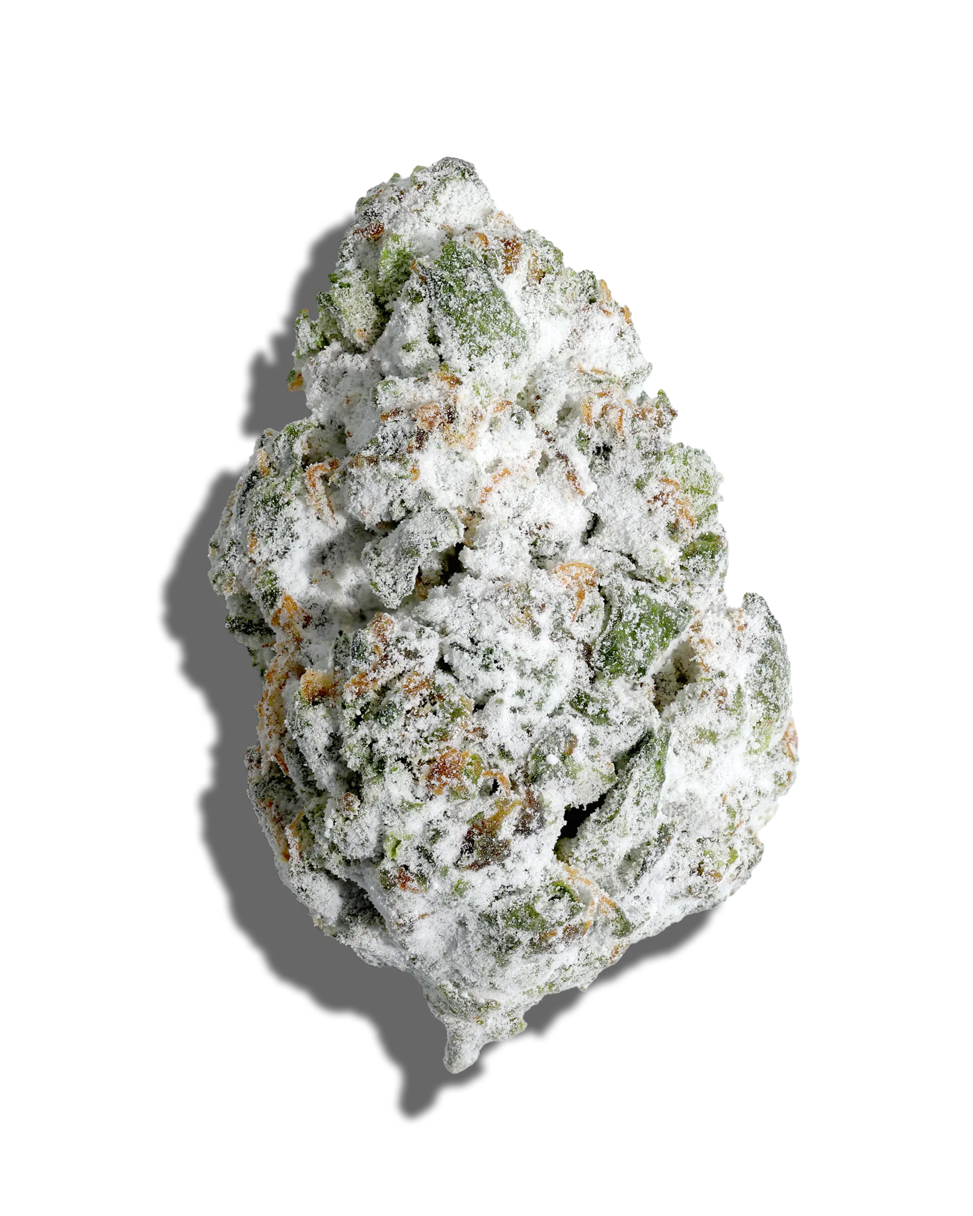 Rainbow Guava X Phantom Berry Blast Amp'd Live Resin Infused Flower 5g