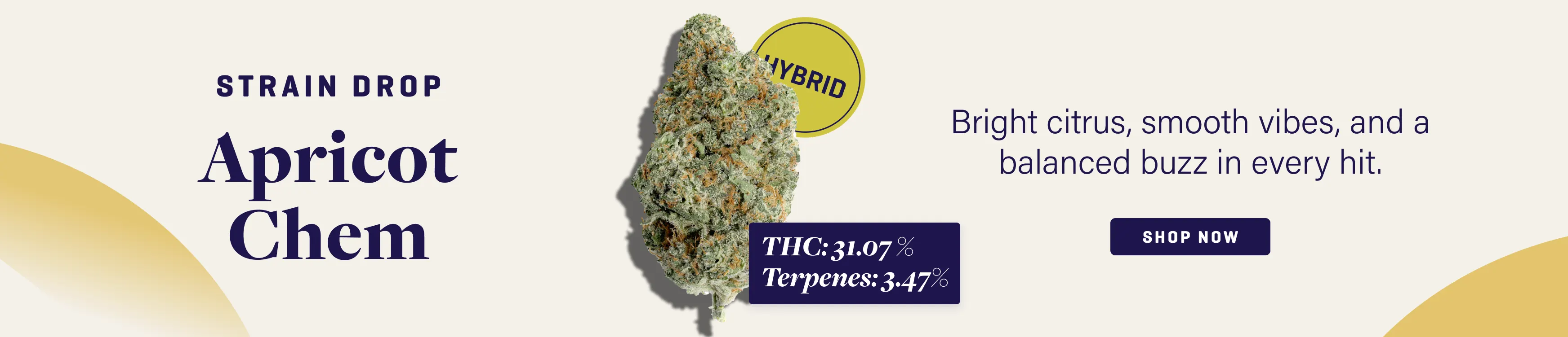 7-22-slimHeroDesktop_ApricotChem.webp