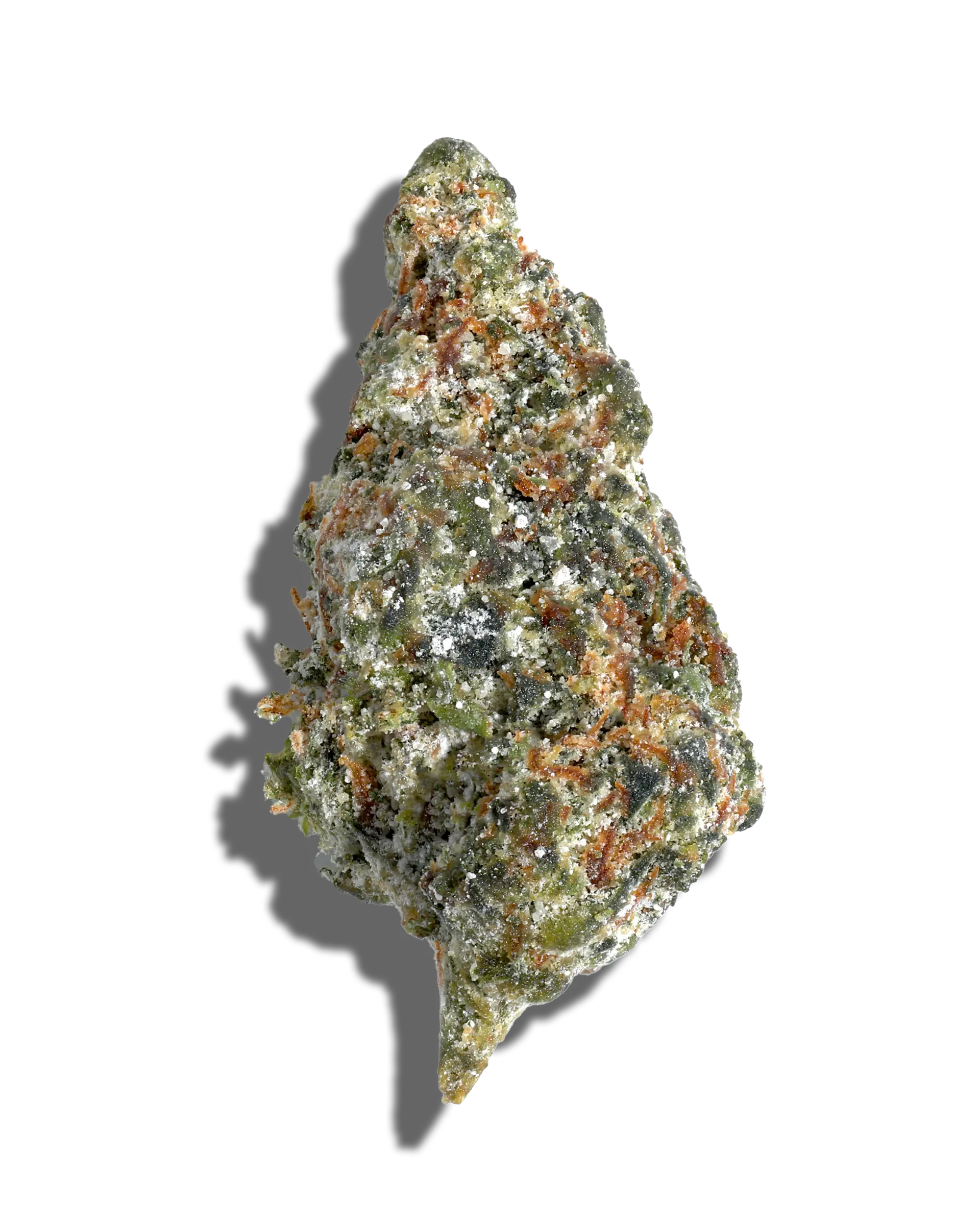 Jenny Kush X Hella Jelly Amp'd Live Resin Infused Flower 5g