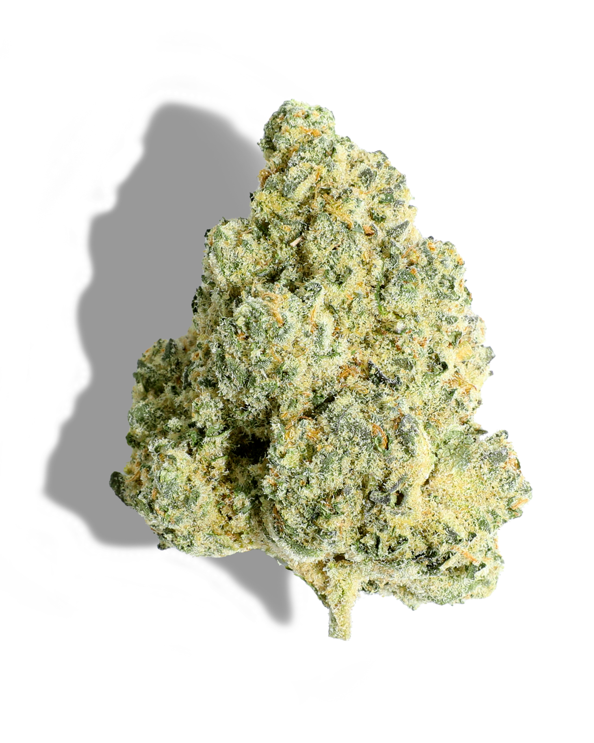 LA Baker Flower