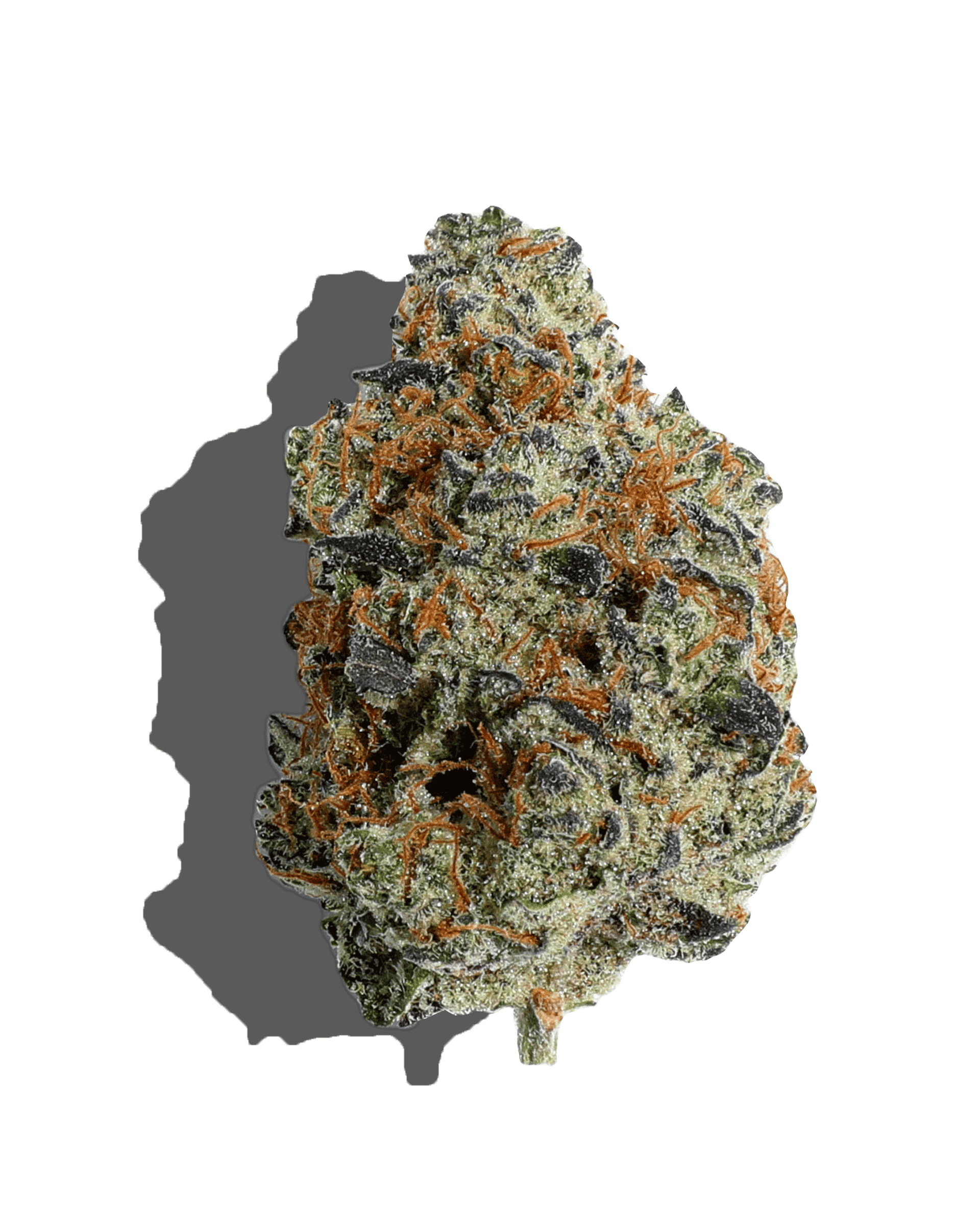 Cherry Breath Flower