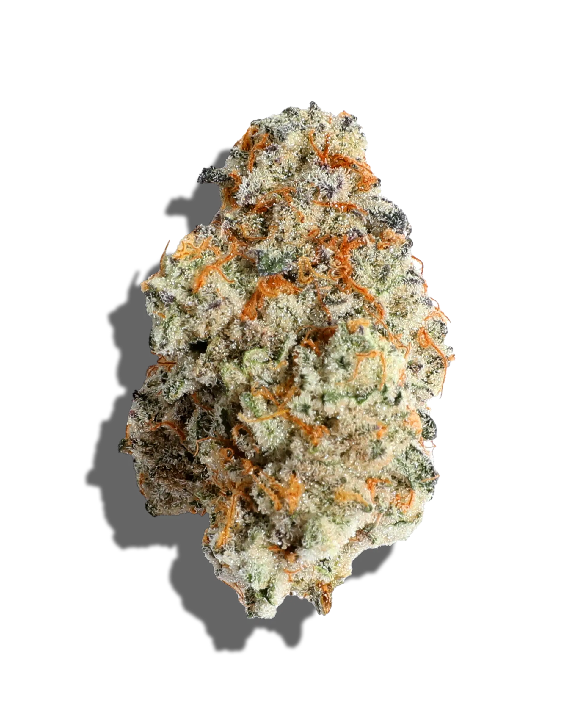Slurricane Gelato 1oz