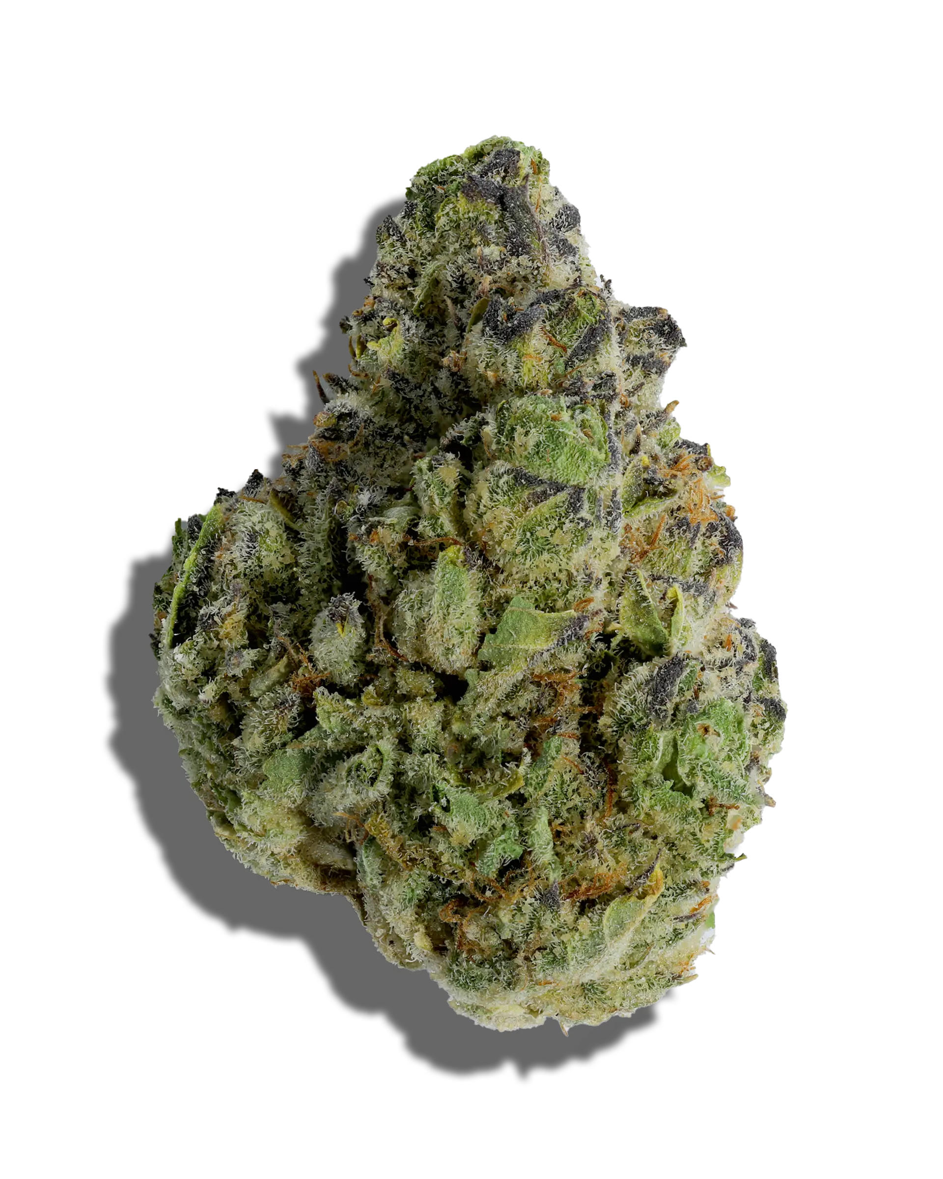 Lemosa 1oz