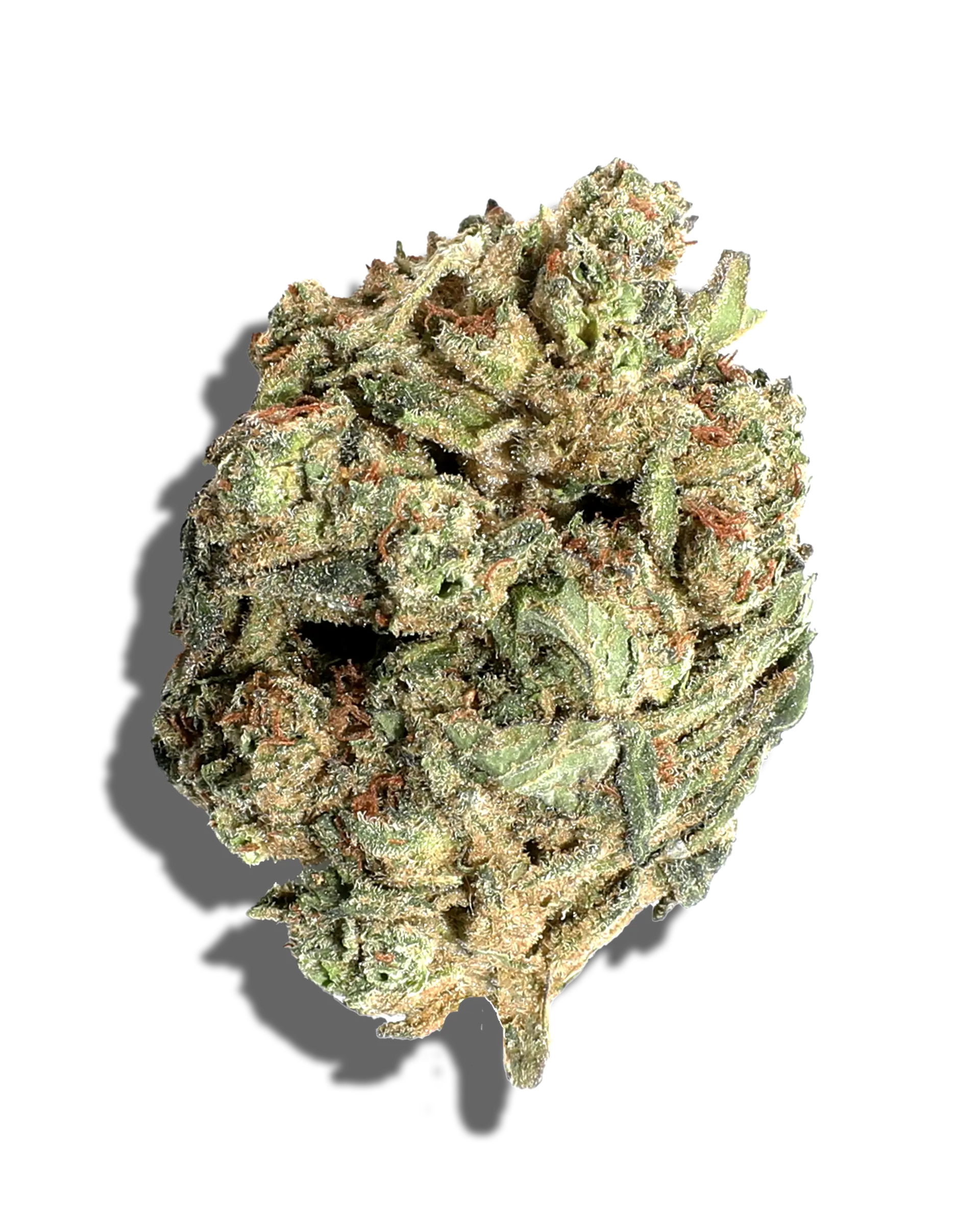 Sungrown Banana Zelato 1oz