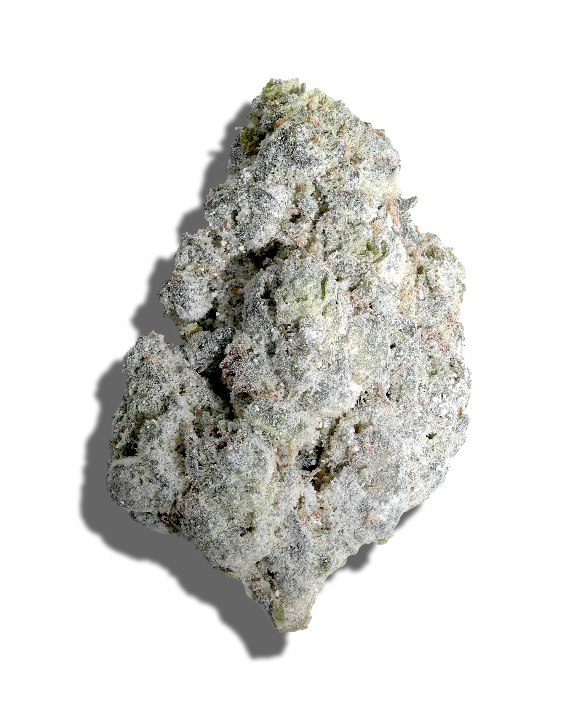 Cheddar Cheese X Jet Fuel Amp'd Live Resin Infused Flower 5g