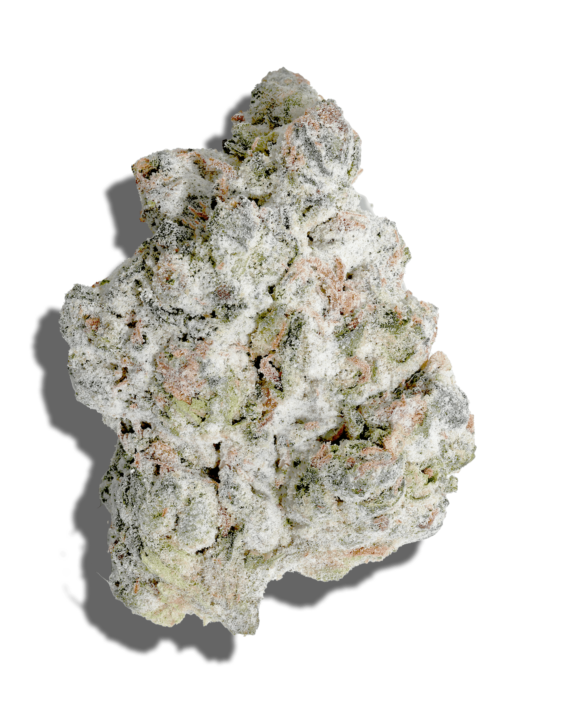 GMO X Grease Monkey Amp'd Live Resin Infused Flower 5g