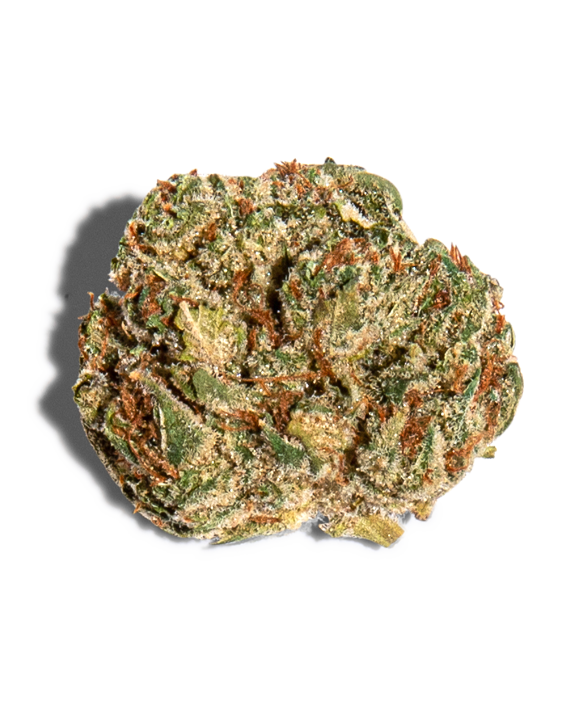 Orange Rollz Flower