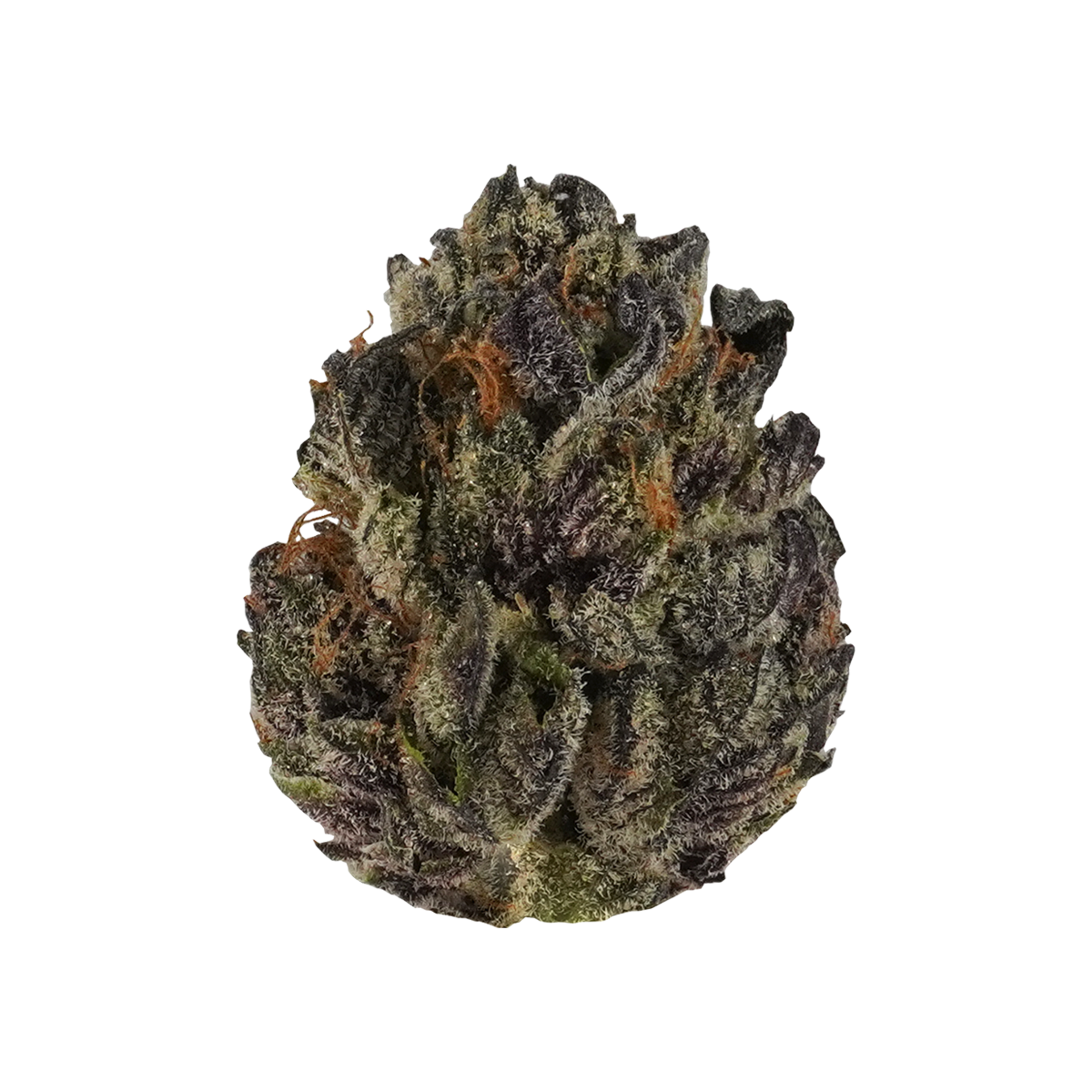 Tropical Cookies Flower