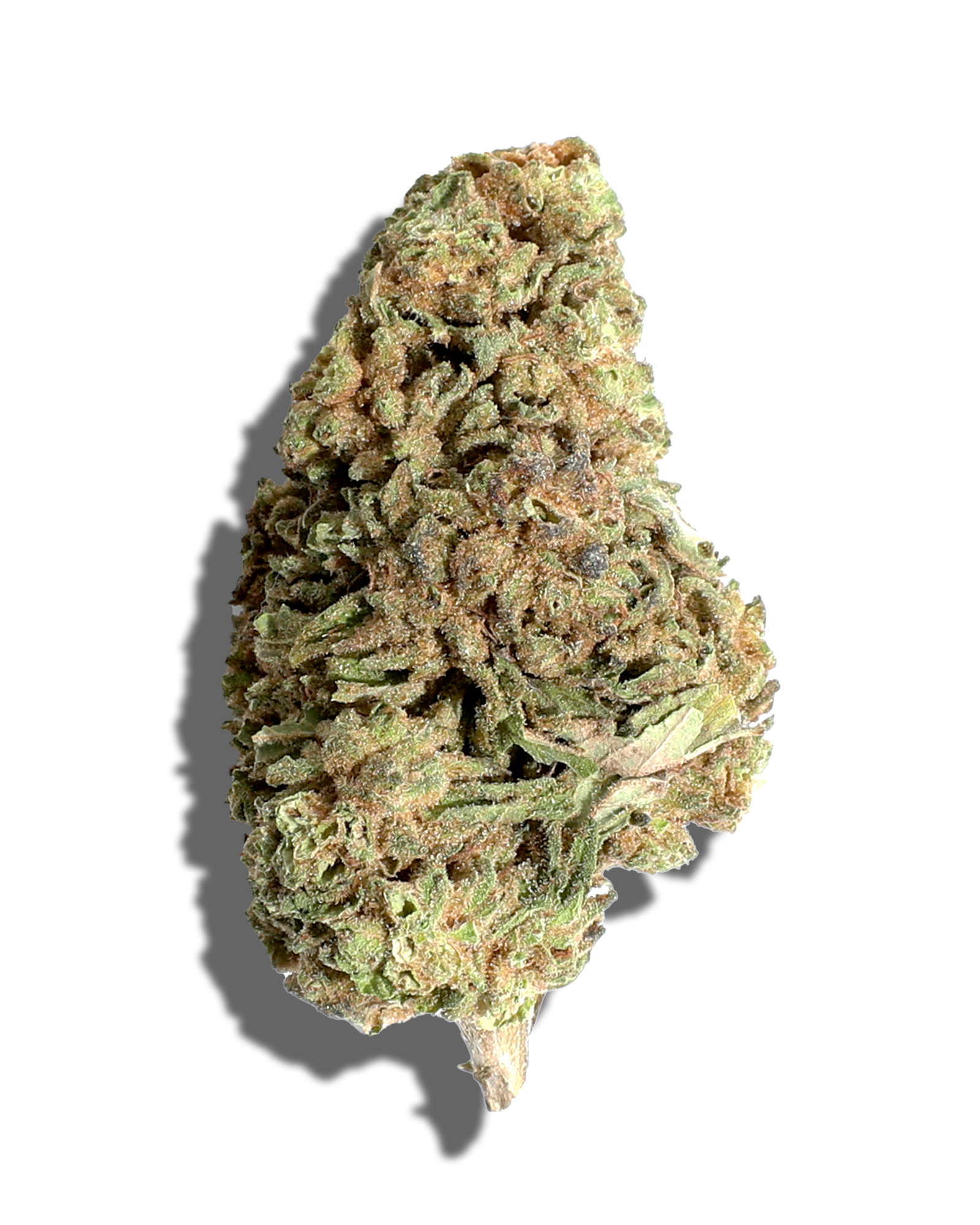 Sungrown GMO Nerds 3.5g, 1 of 3