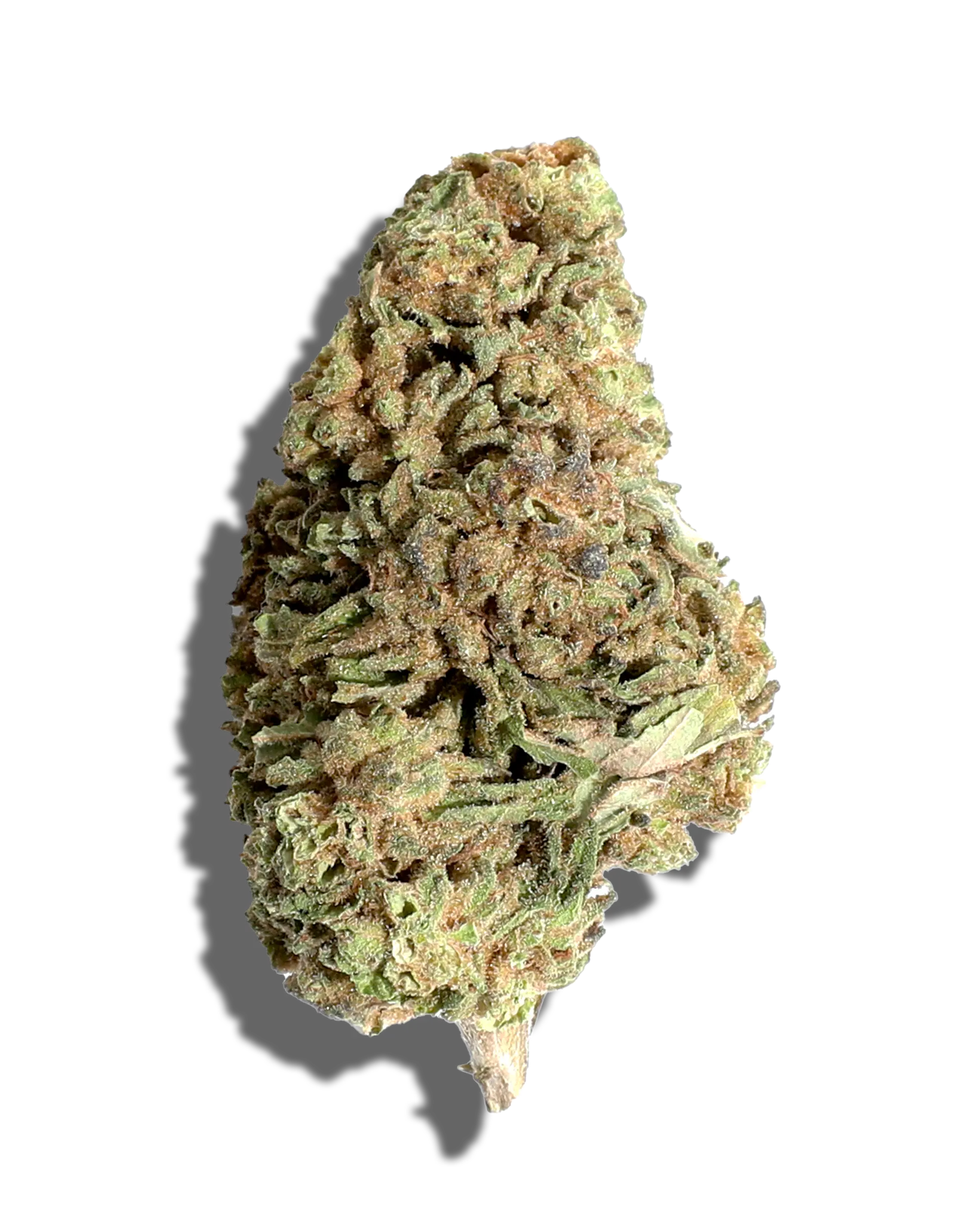 Sungrown GMO Nerds 3.5g