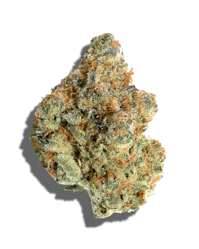Platinum Sugarcane harvested flower, as labeled by the cited photo source