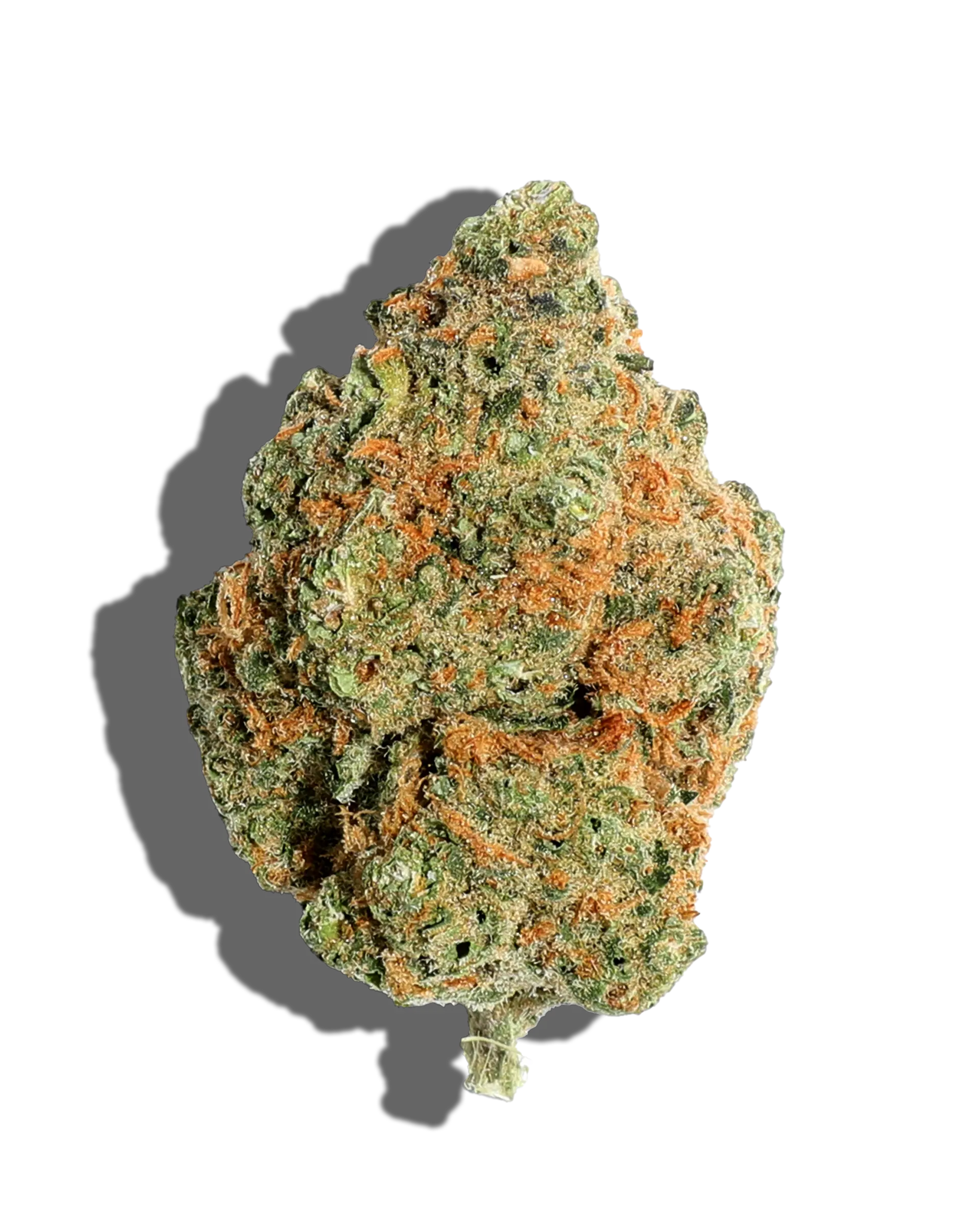 White Super Skunk Flower