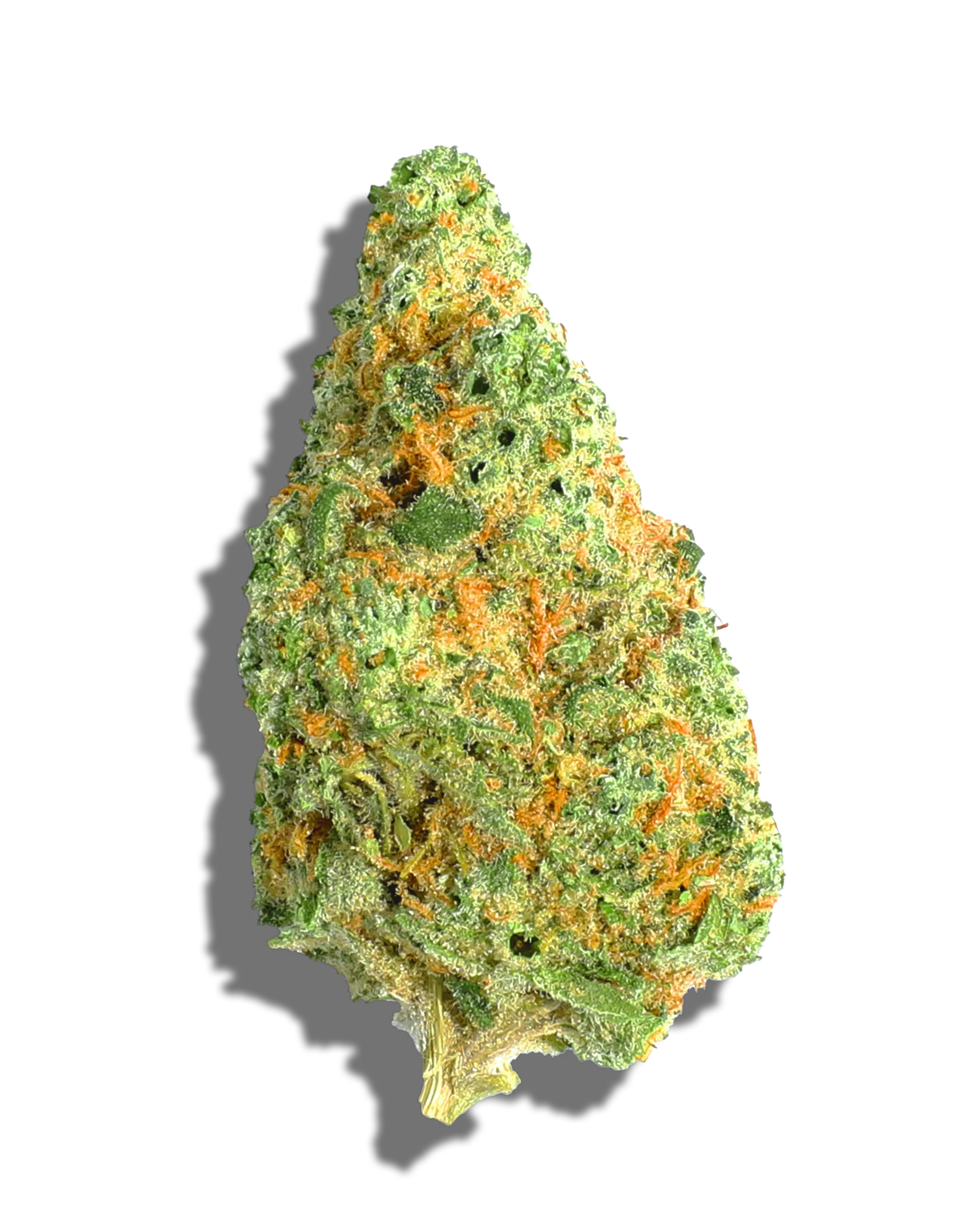 Great Lakes Venom 3.5g