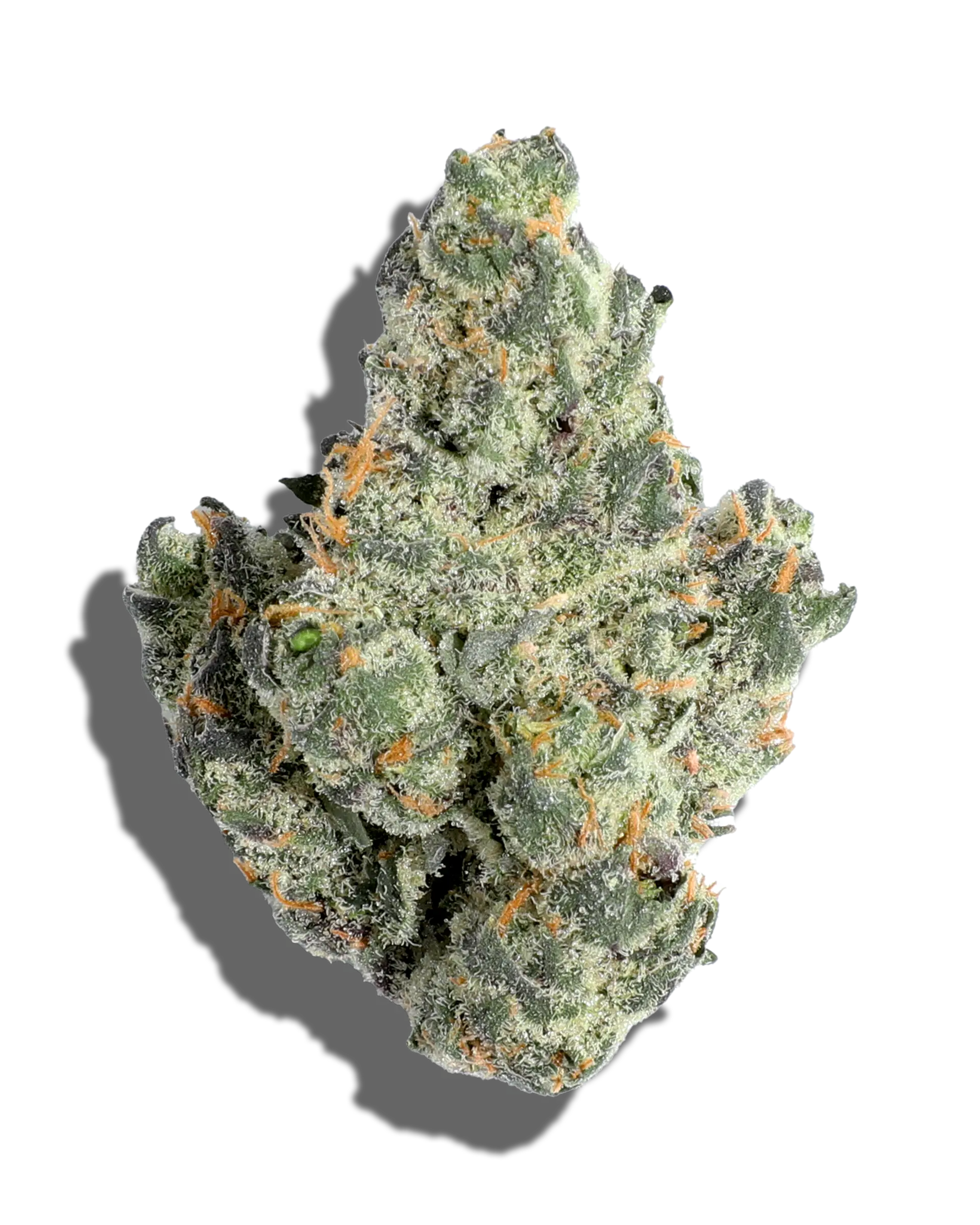 Cotton Candy Flower