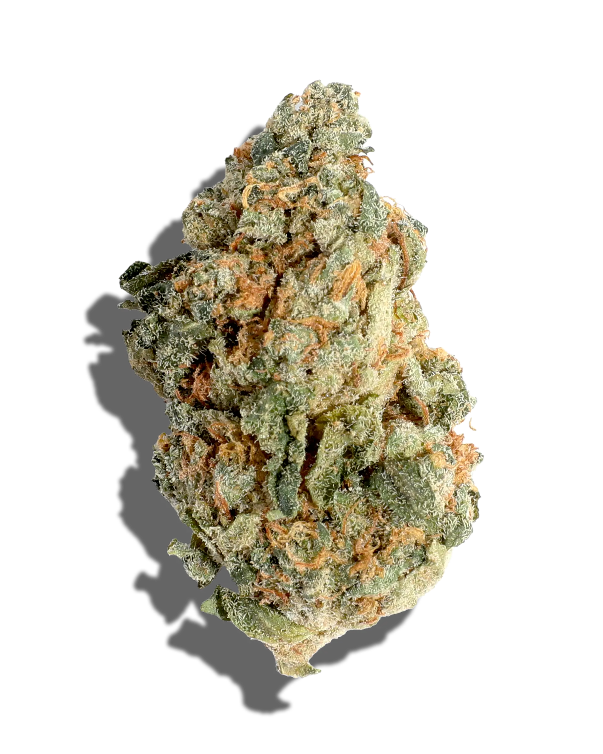 Gmo Jungle Cake 1oz