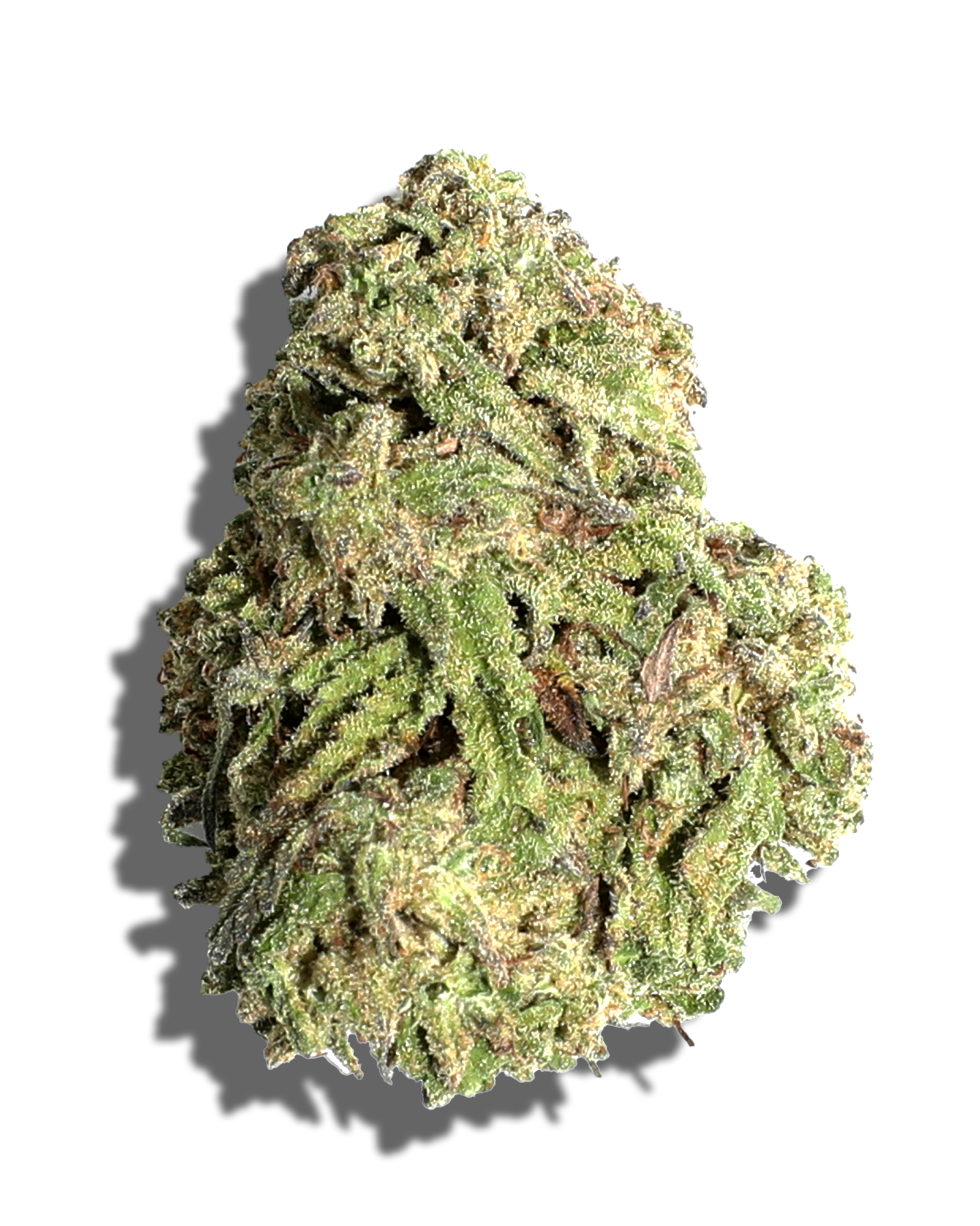 Sungrown Caramel Cream 1oz, 1 of 3