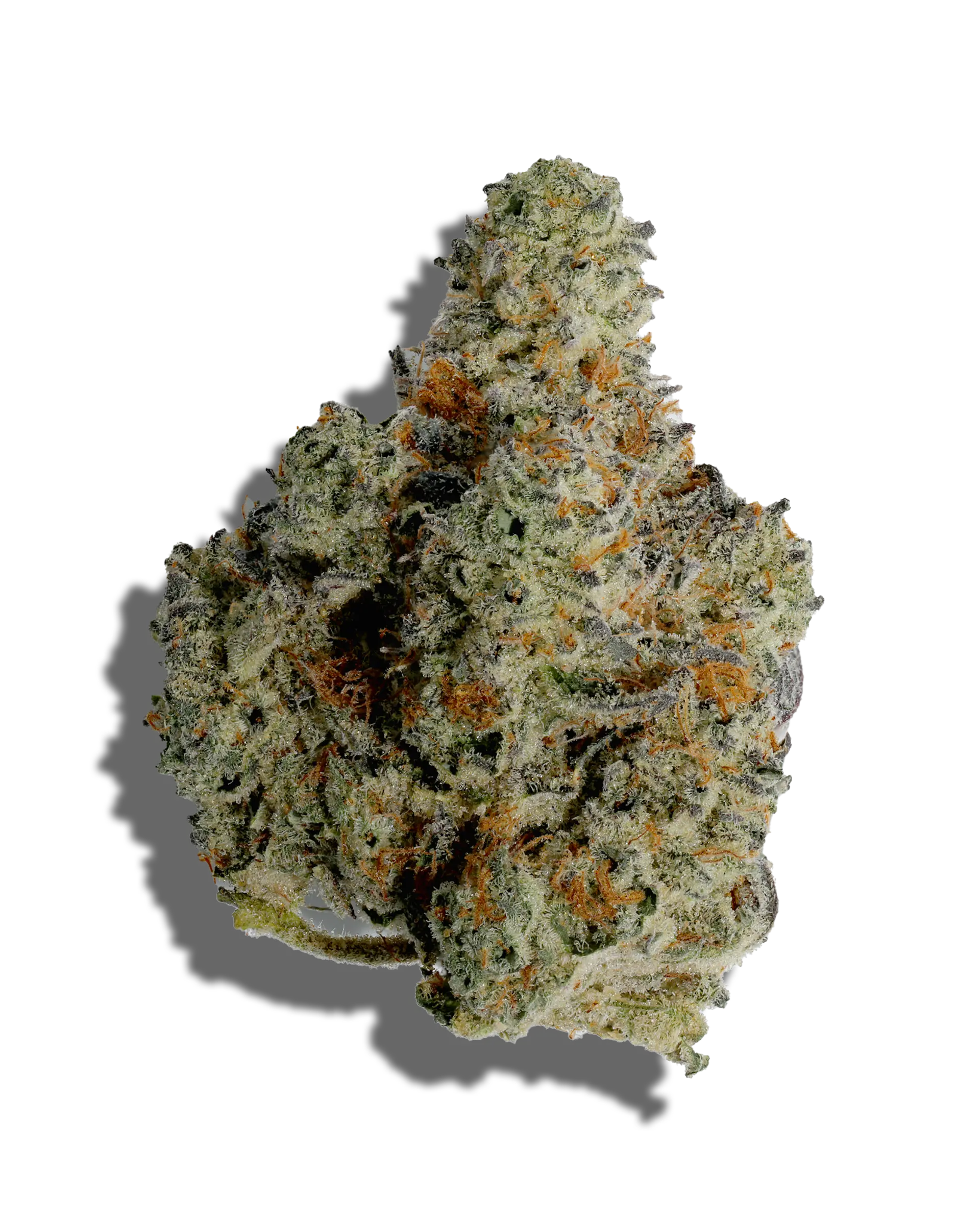 Comet Cookies 1oz