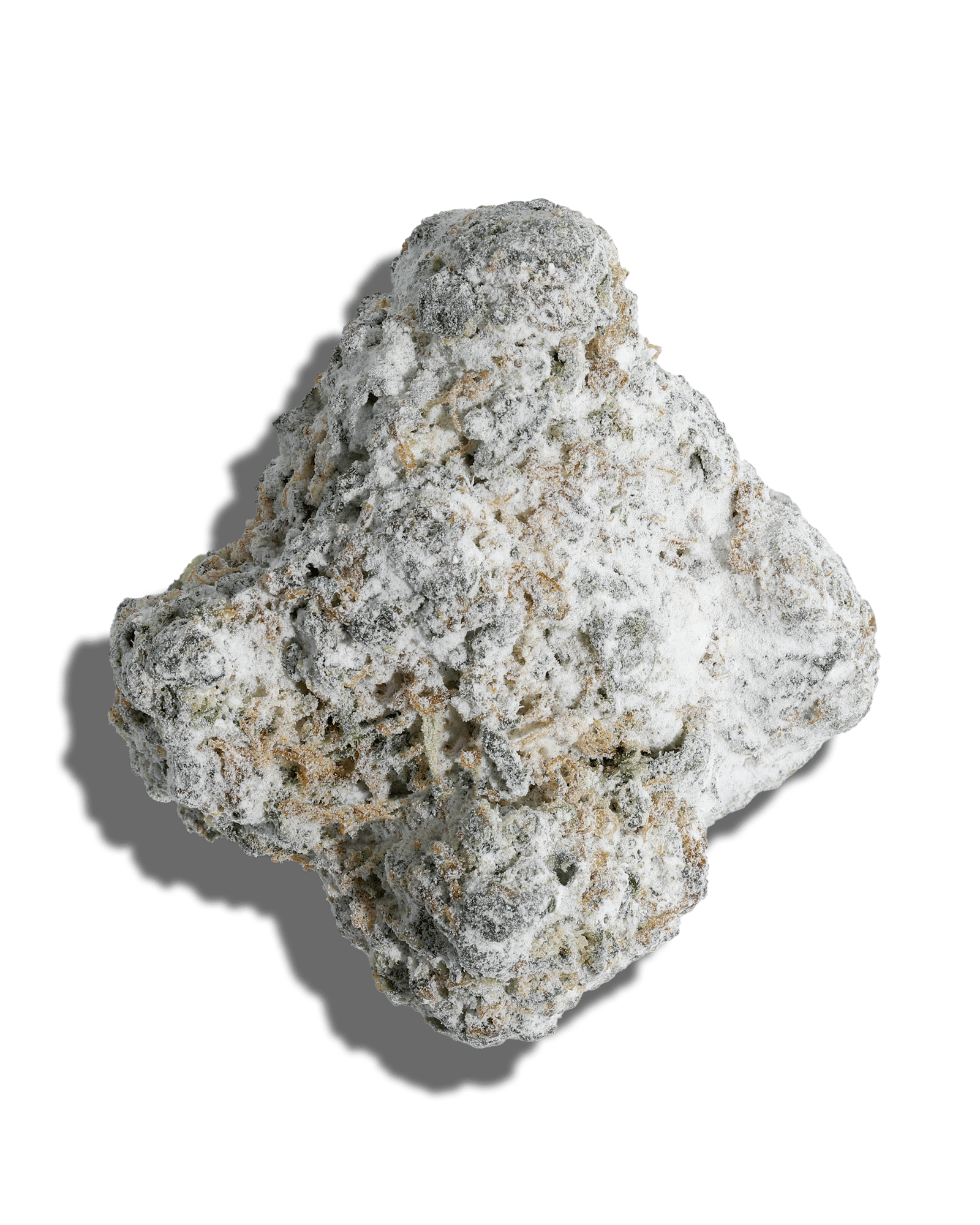 Cheddar Cheese X Blueberry Bang Bang Amp'd Live Resin Infused Flower 5g