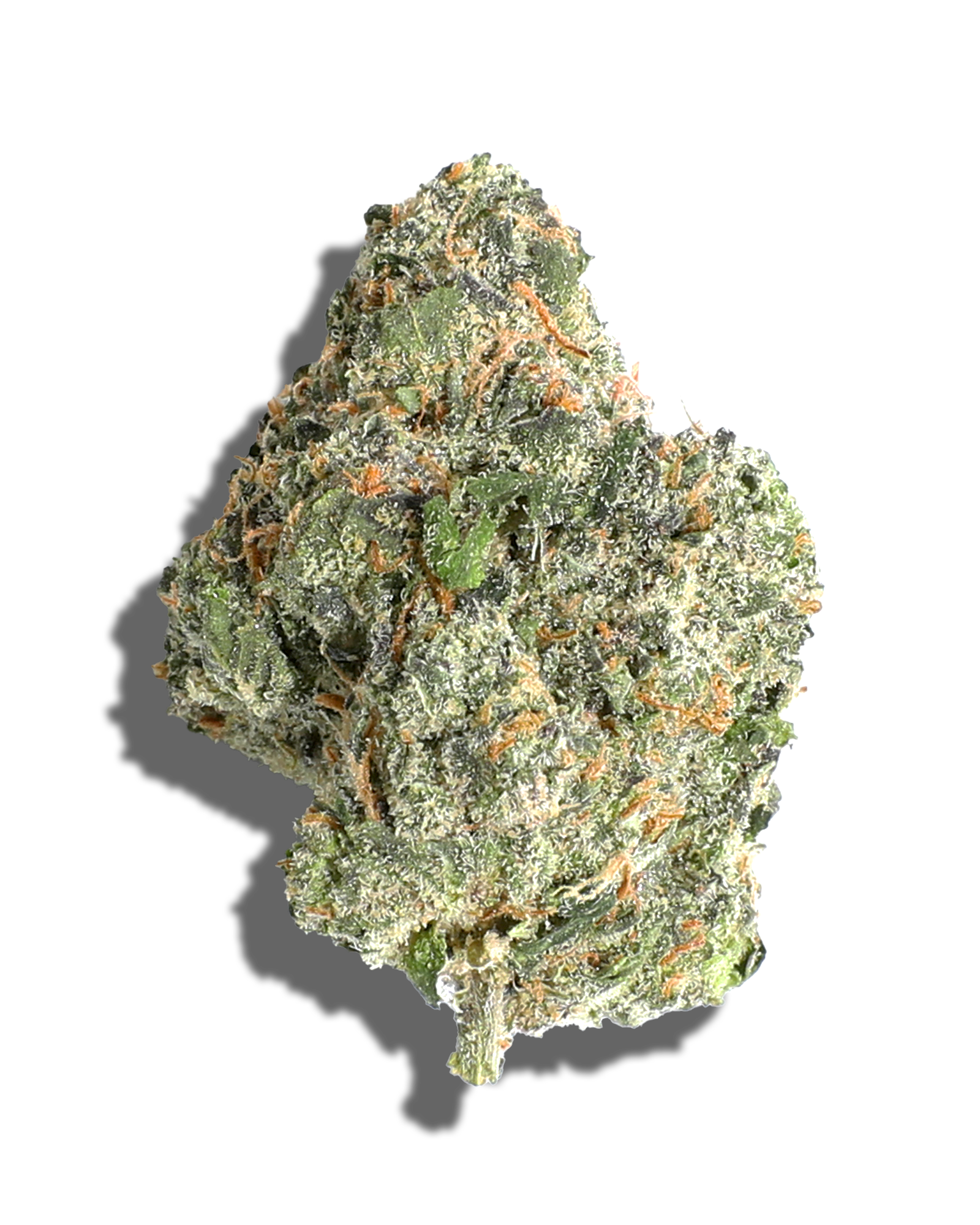 Gary Payton 3.5g, 1 of 3