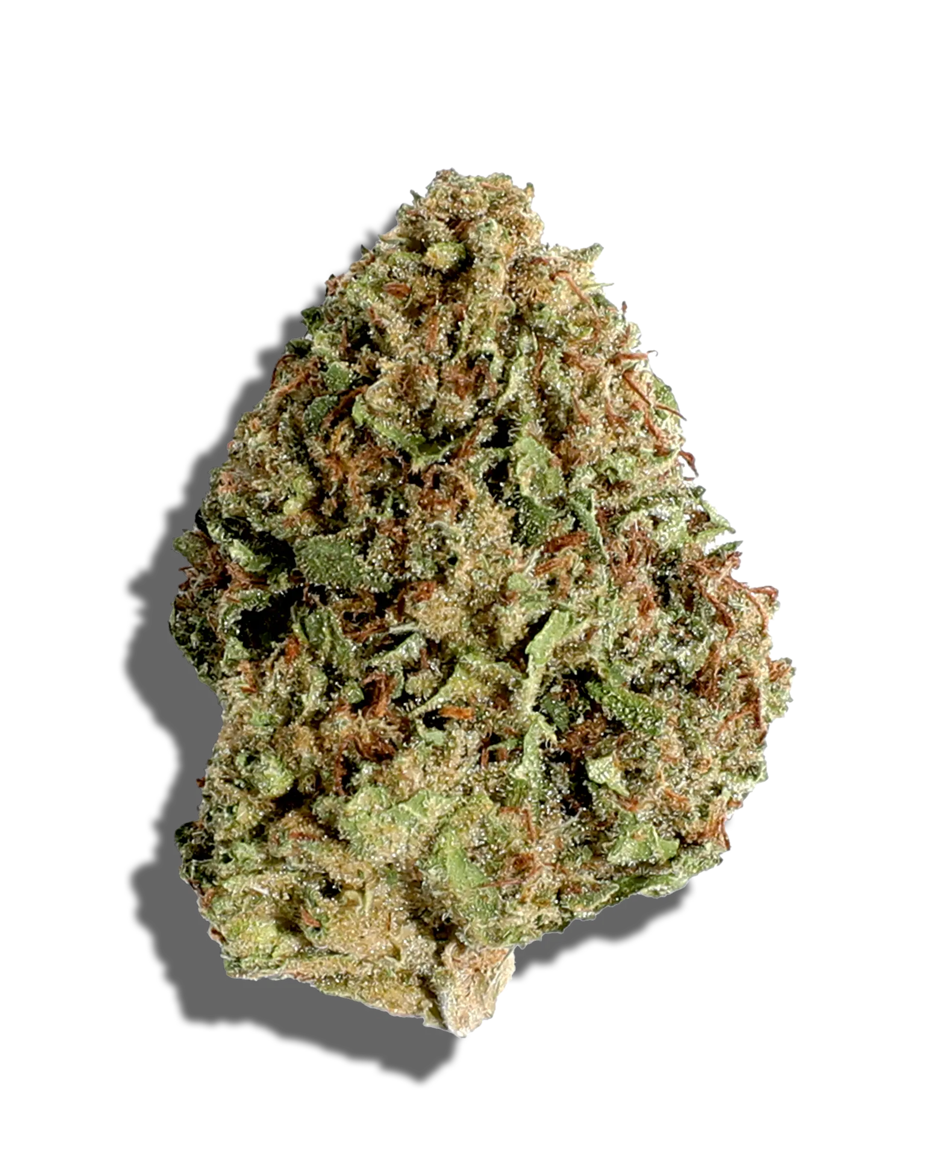 Sungrown Hindu Hound 1oz