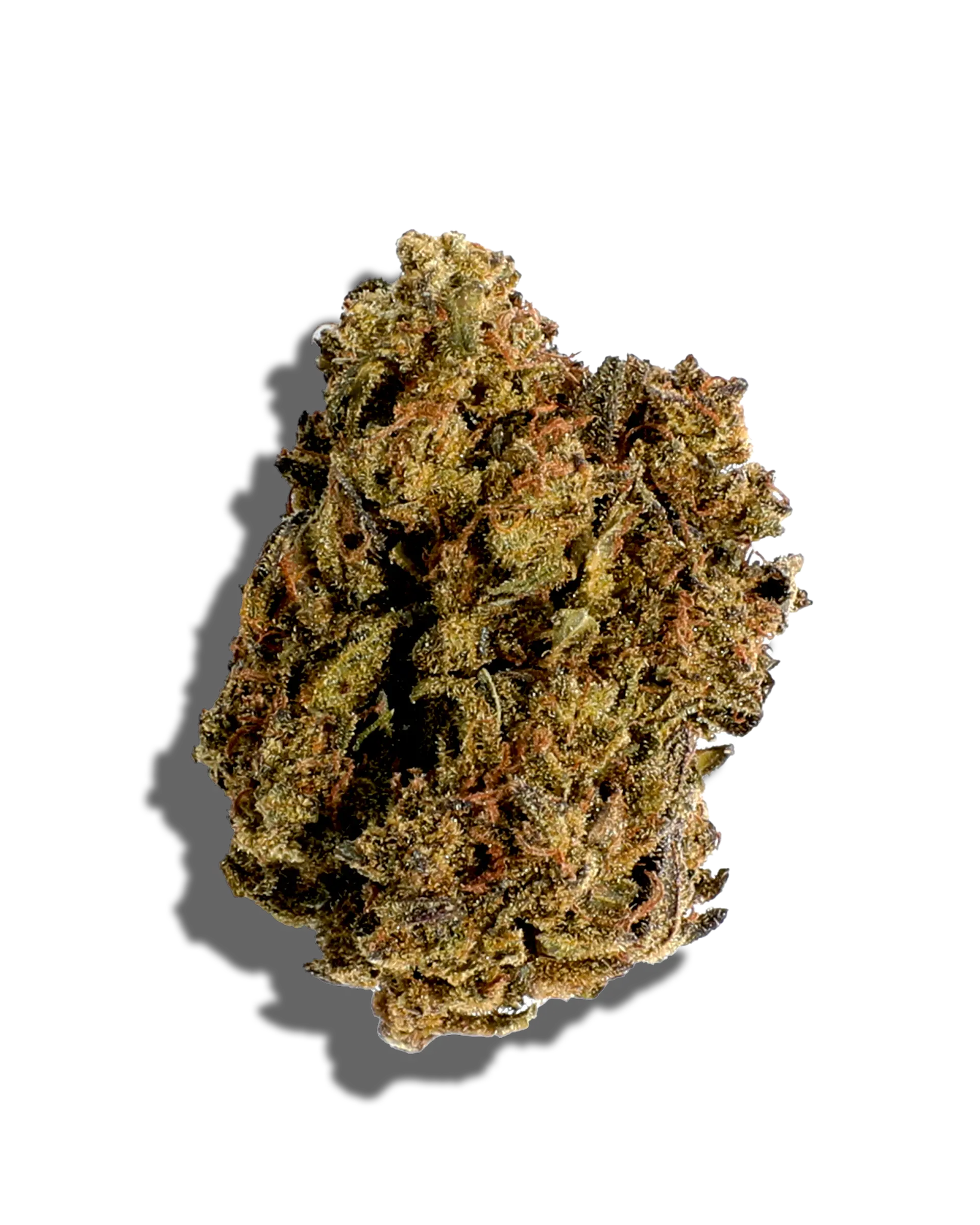 Sungrown Casey Jones 1oz