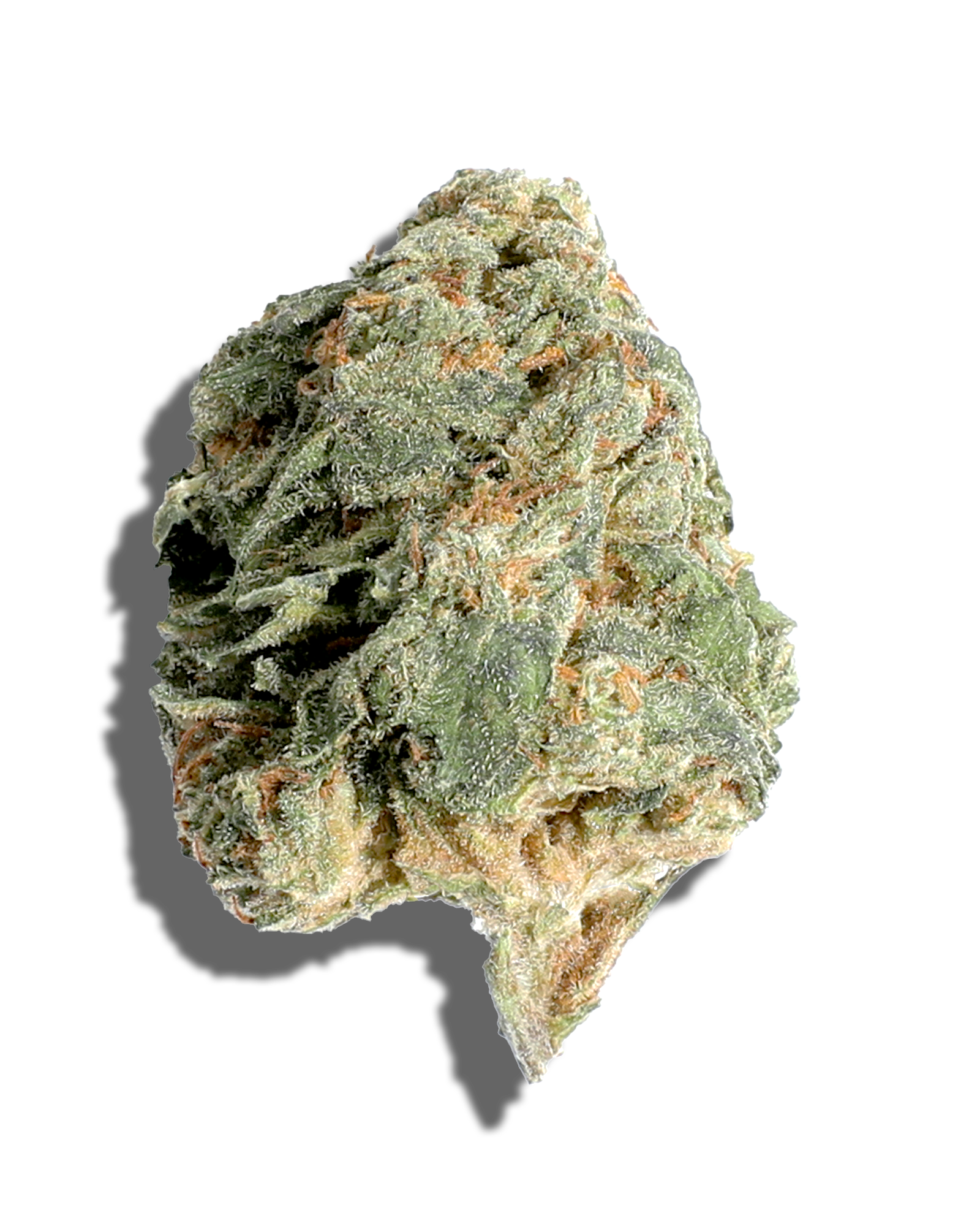Sungrown Gelato 41 1oz, 1 of 3