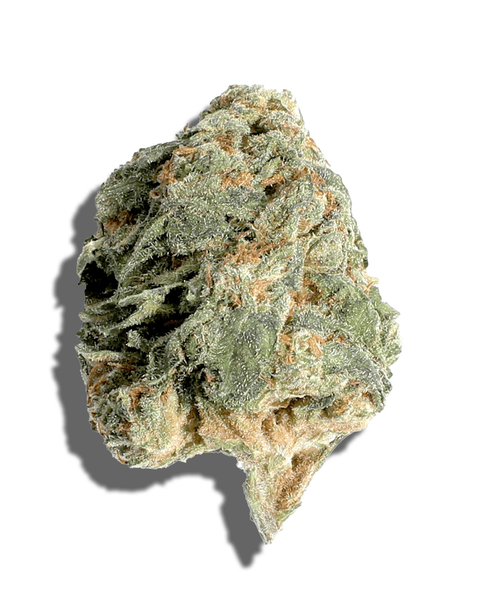 Sungrown Gelato 41 1oz