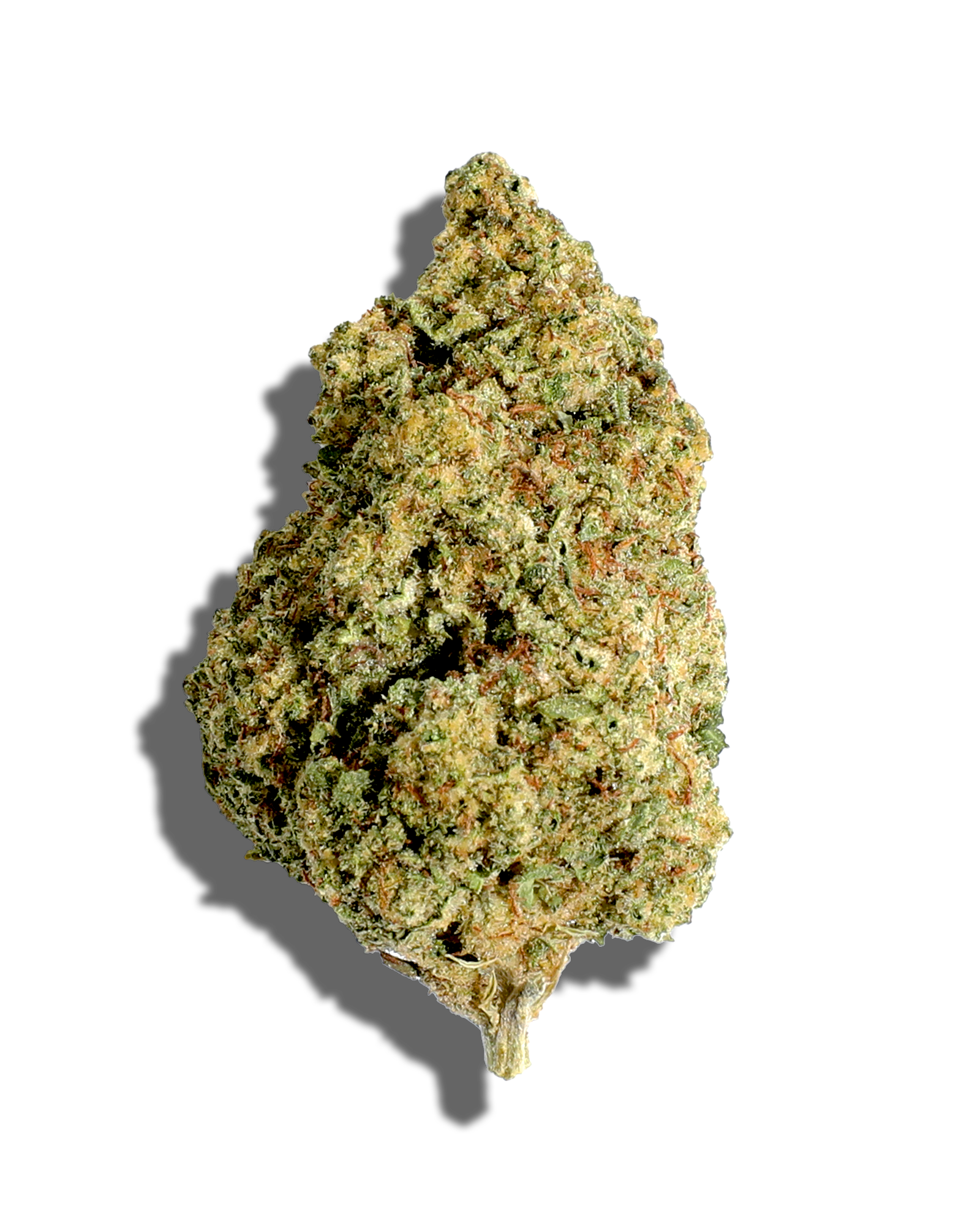 Sungrown Platinum Lemon Cherry Gelato 3.5g, 1 of 3