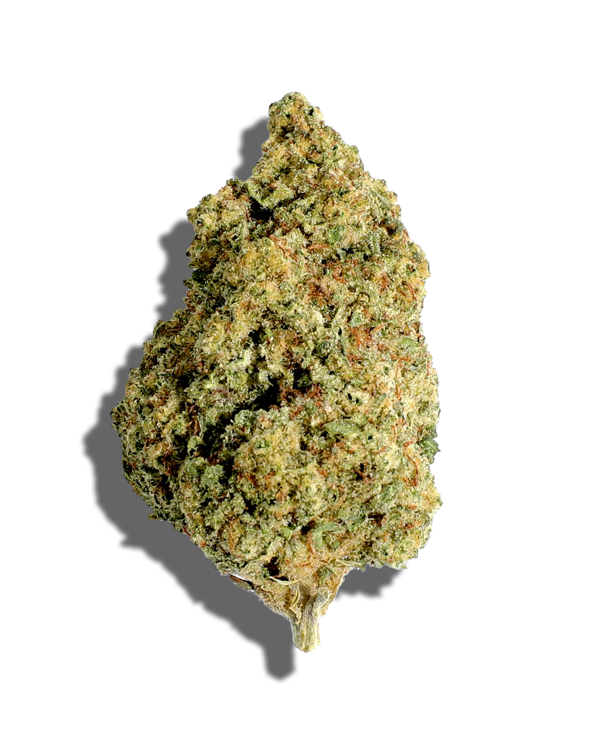 Sungrown Platinum Lemon Cherry Gelato 3.5g