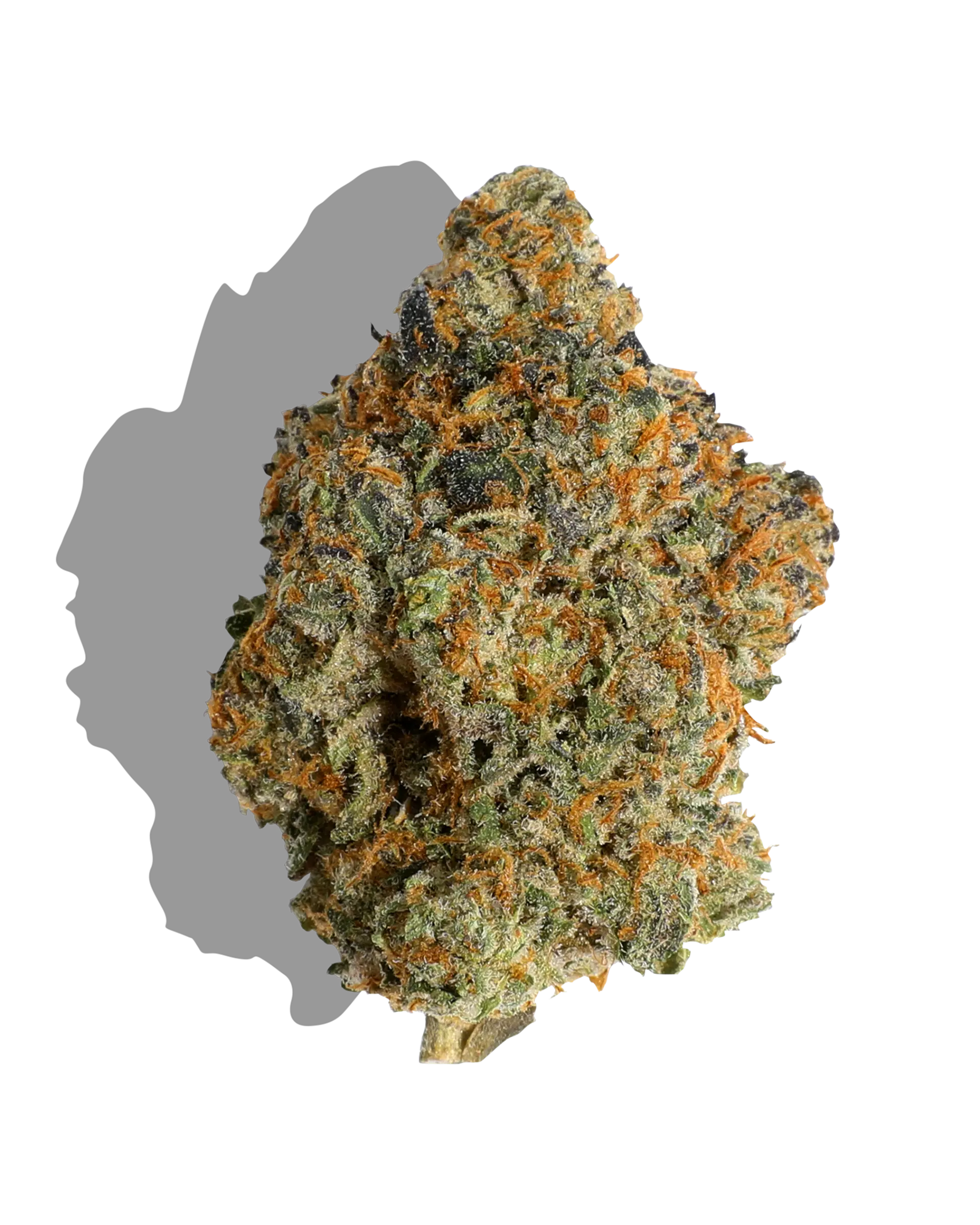 Pastors Poison 1oz