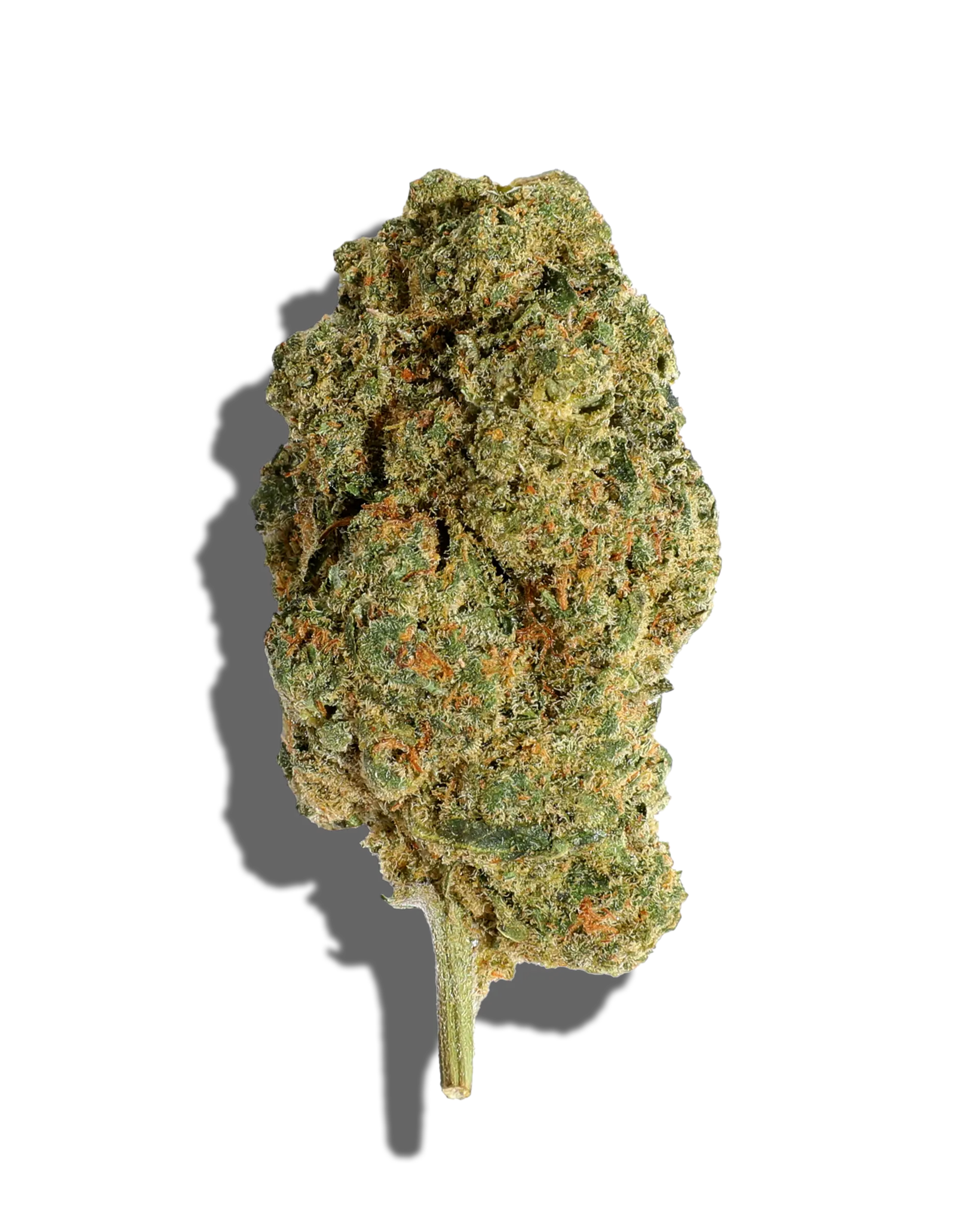Scoops Flower