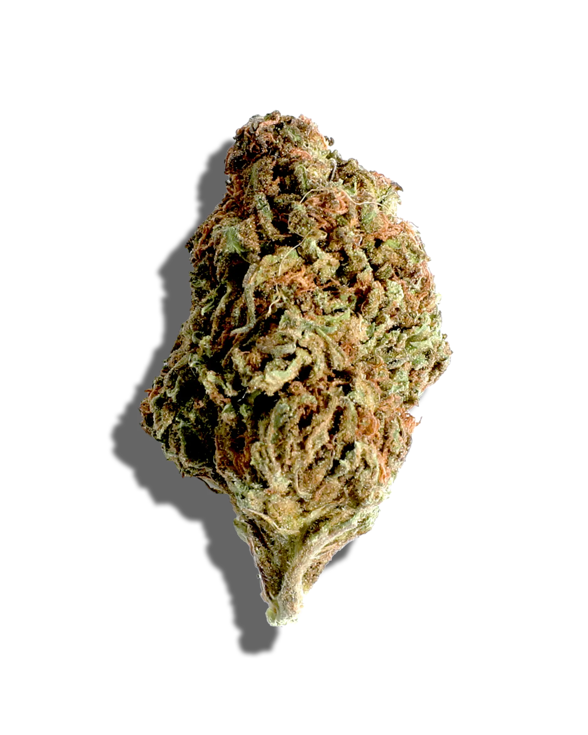 Sunkissed JMO 3.5g
