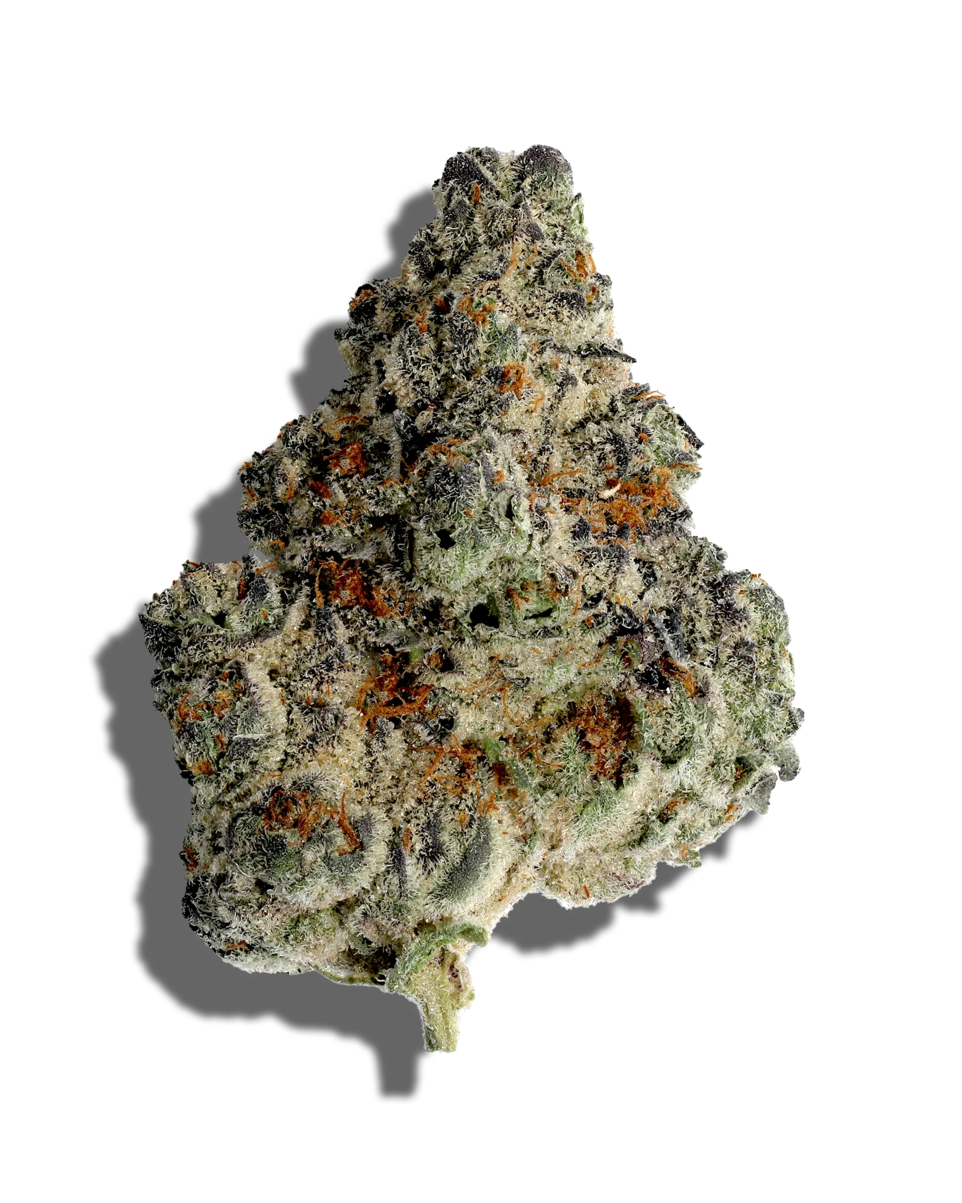 Glitter Bomb X Sweet Tea 3.5g