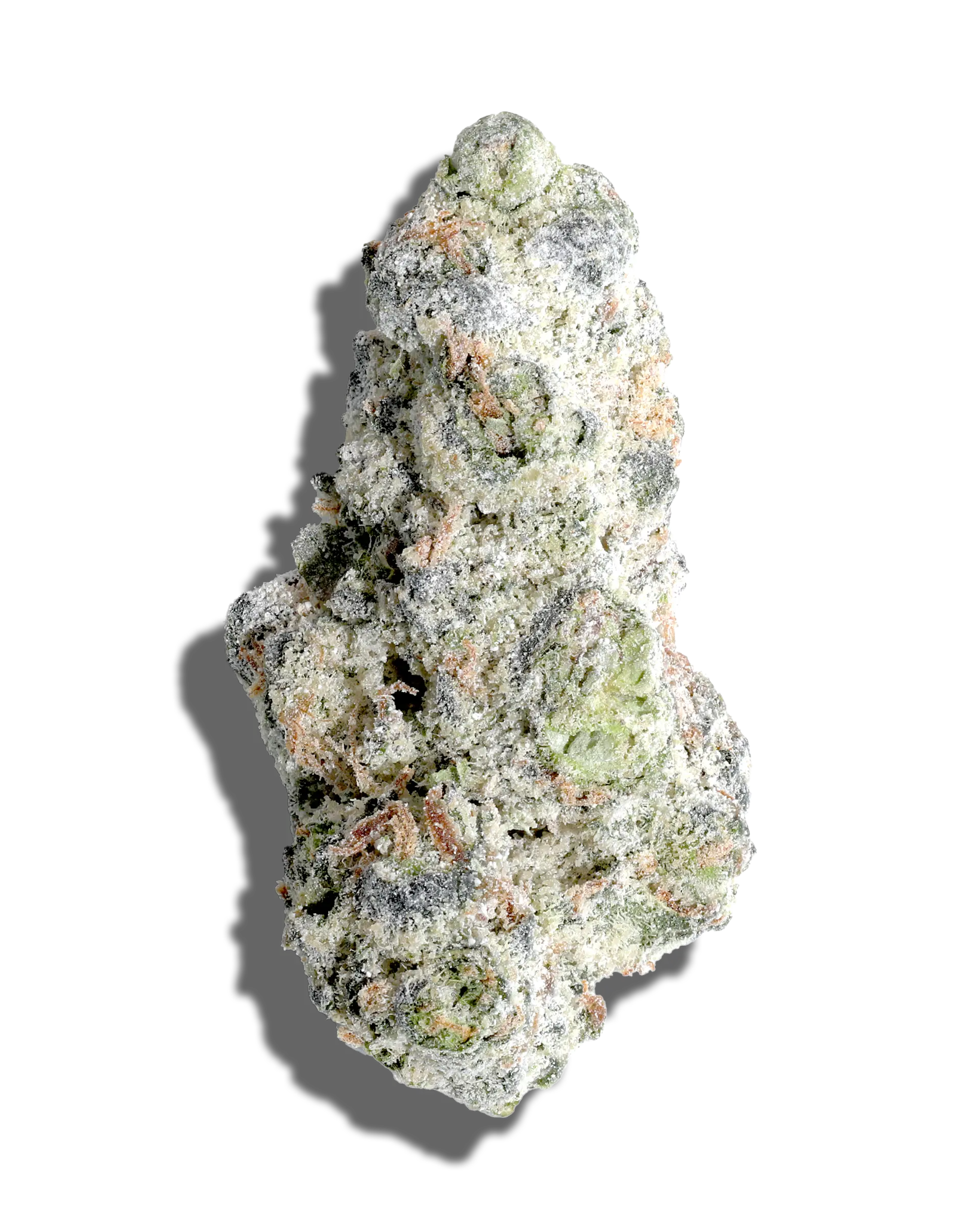 GMO X Galactic Guava Amp'd Live Resin Infused Flower 5g