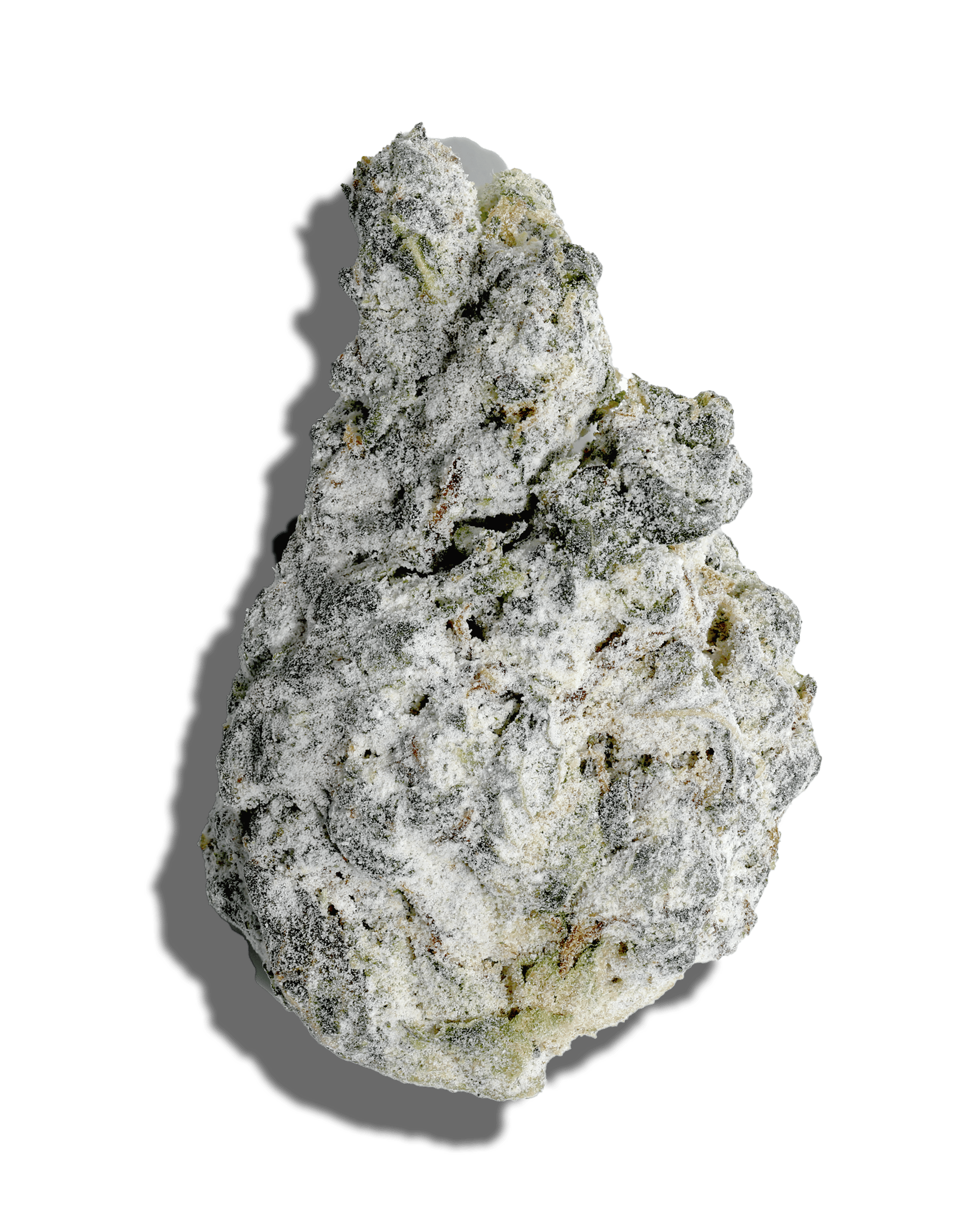 GMO X Banjo Amp'd Live Resin Infused Flower 5g