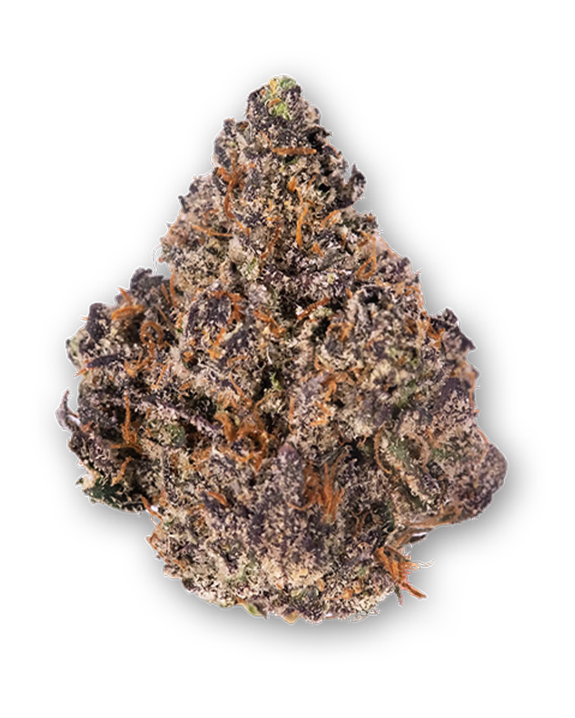 Purple Gelato Flower
