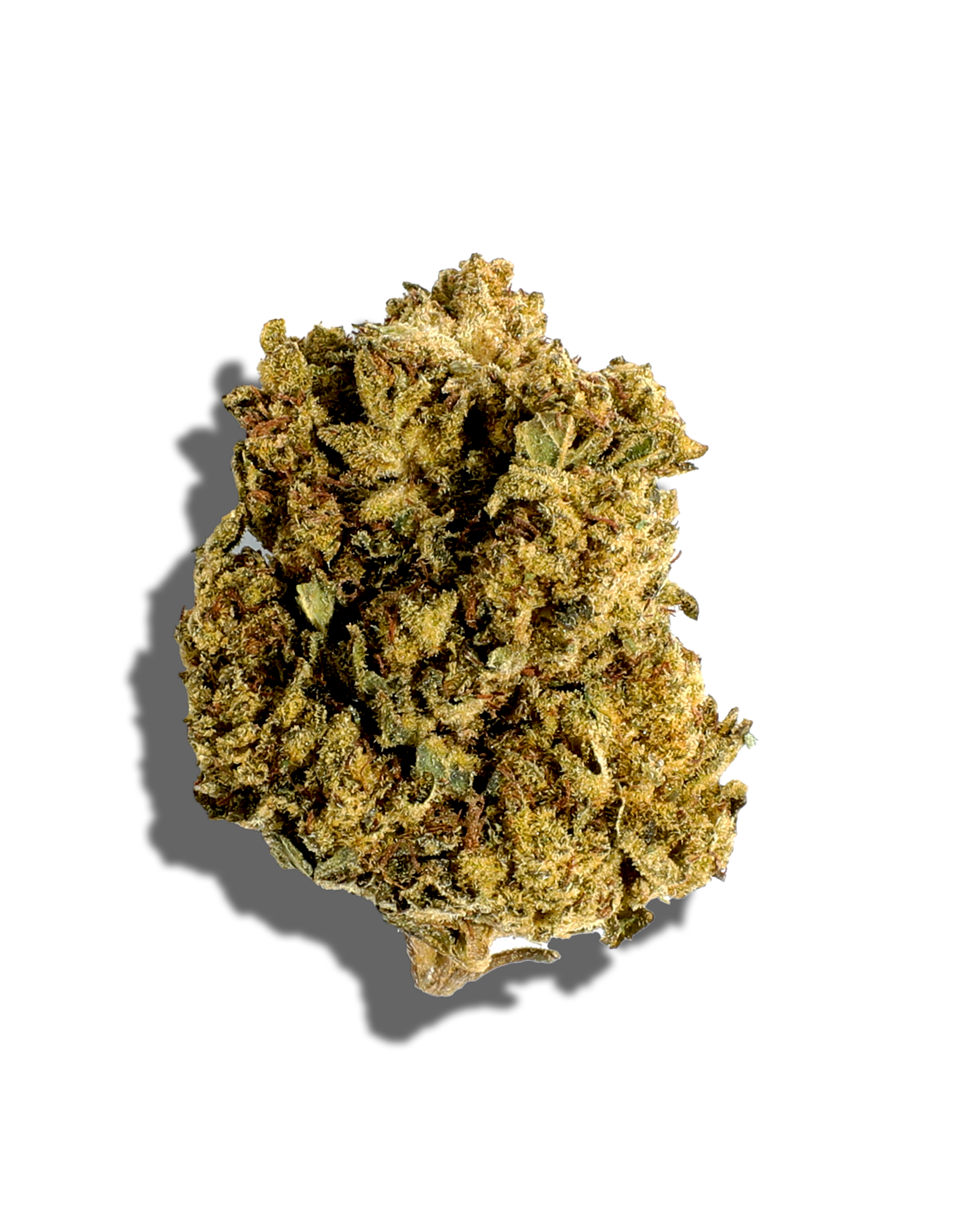 Sungrown Super Glue 1oz, 1 of 3