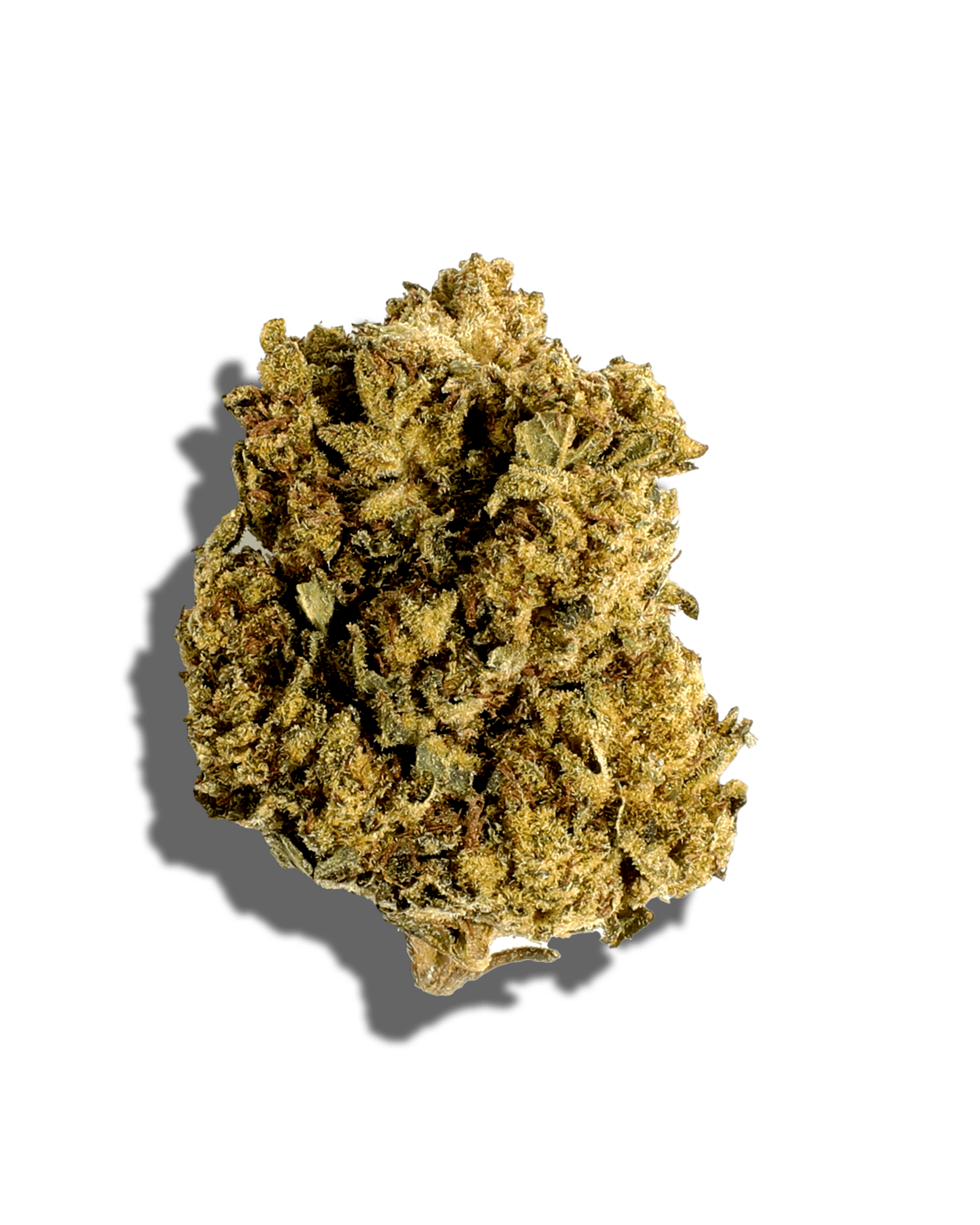 Sungrown Super Glue 1oz