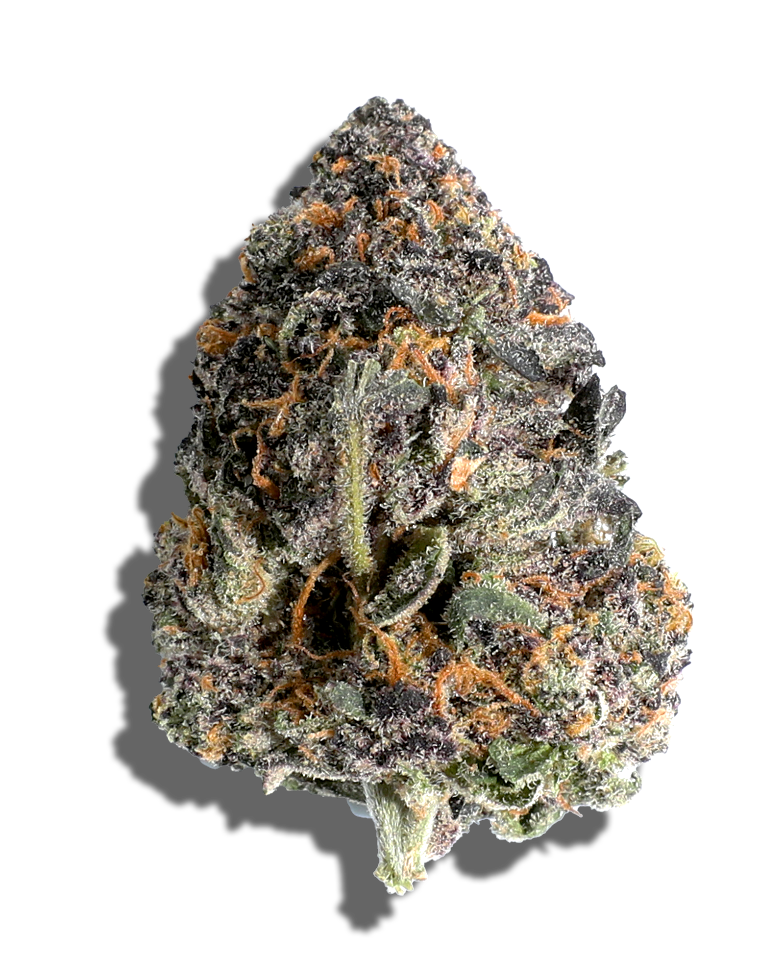 RS11 X Falcon 9 3.5g, 1 of 3