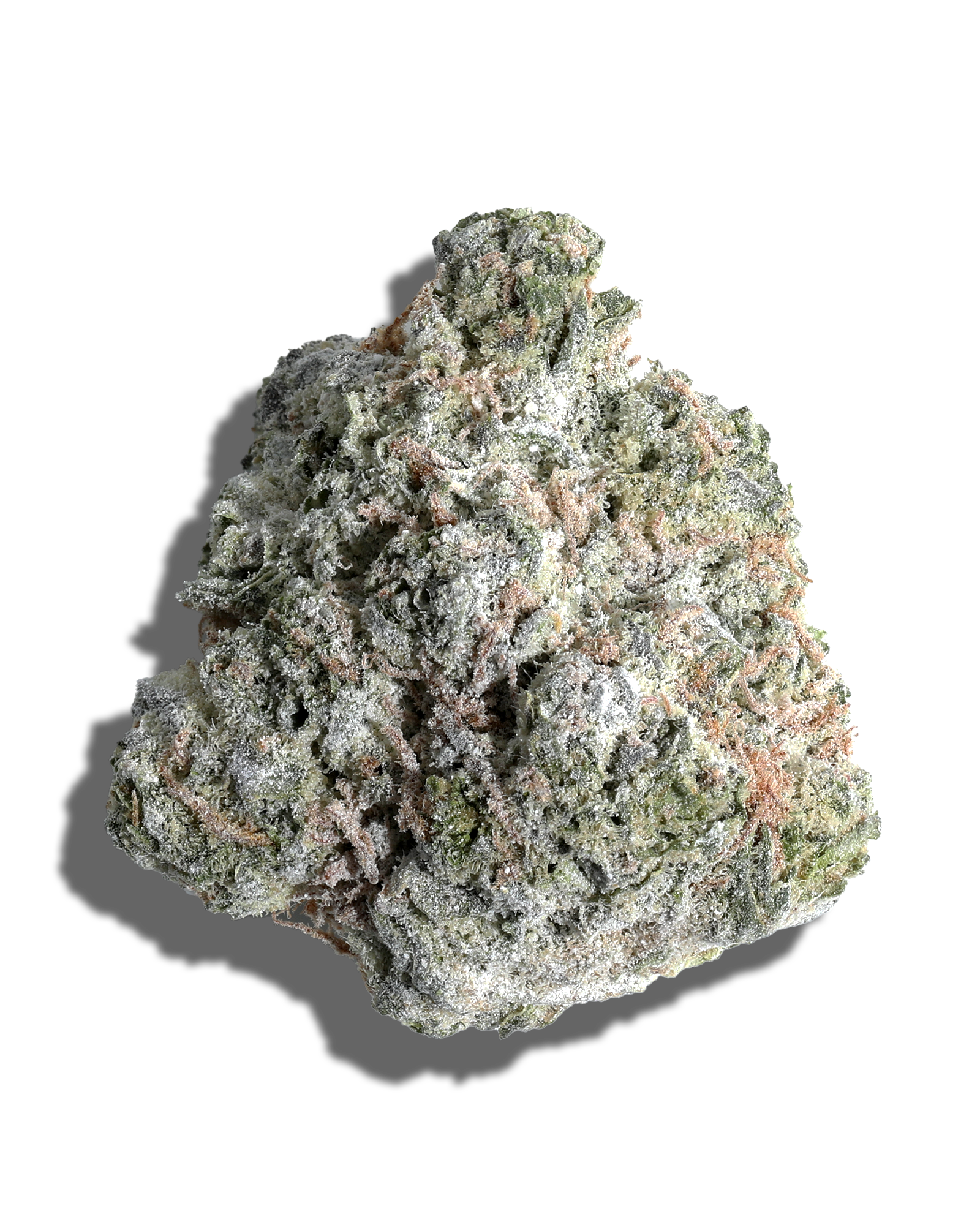 Bobby Wild X The Whip Amp'd Live Resin Infused Flower 5g, 1 of 2