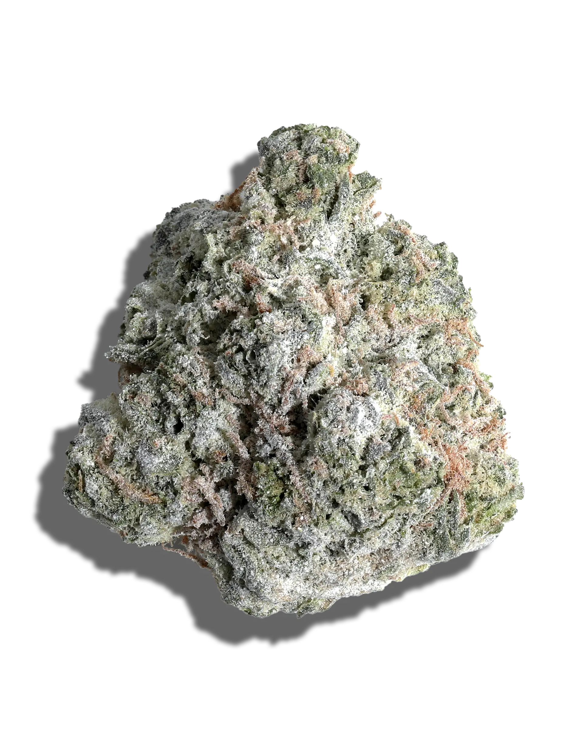 Bobby Wild X The Whip Amp'd Live Resin Infused Flower 5g