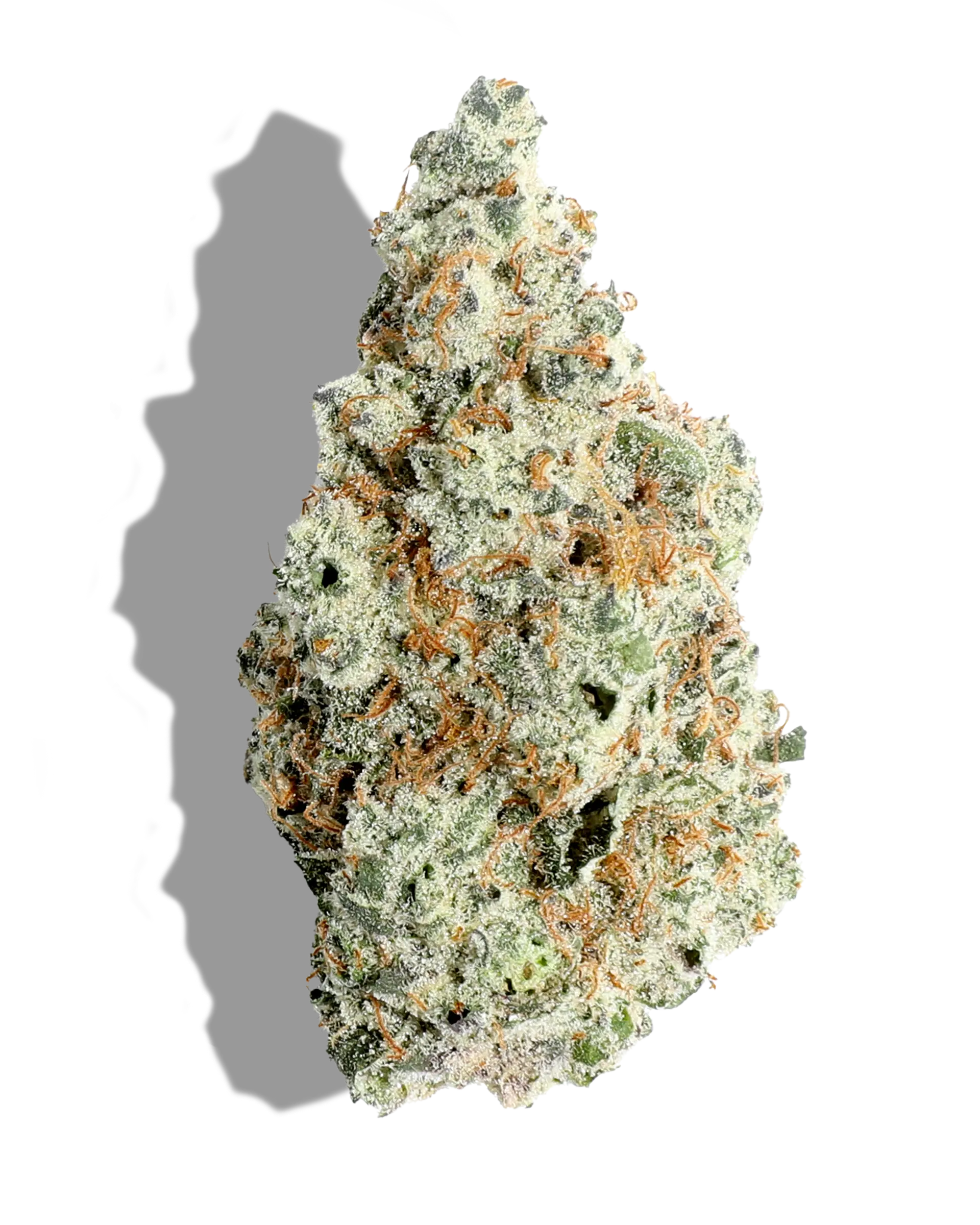 Babo 3.5g
