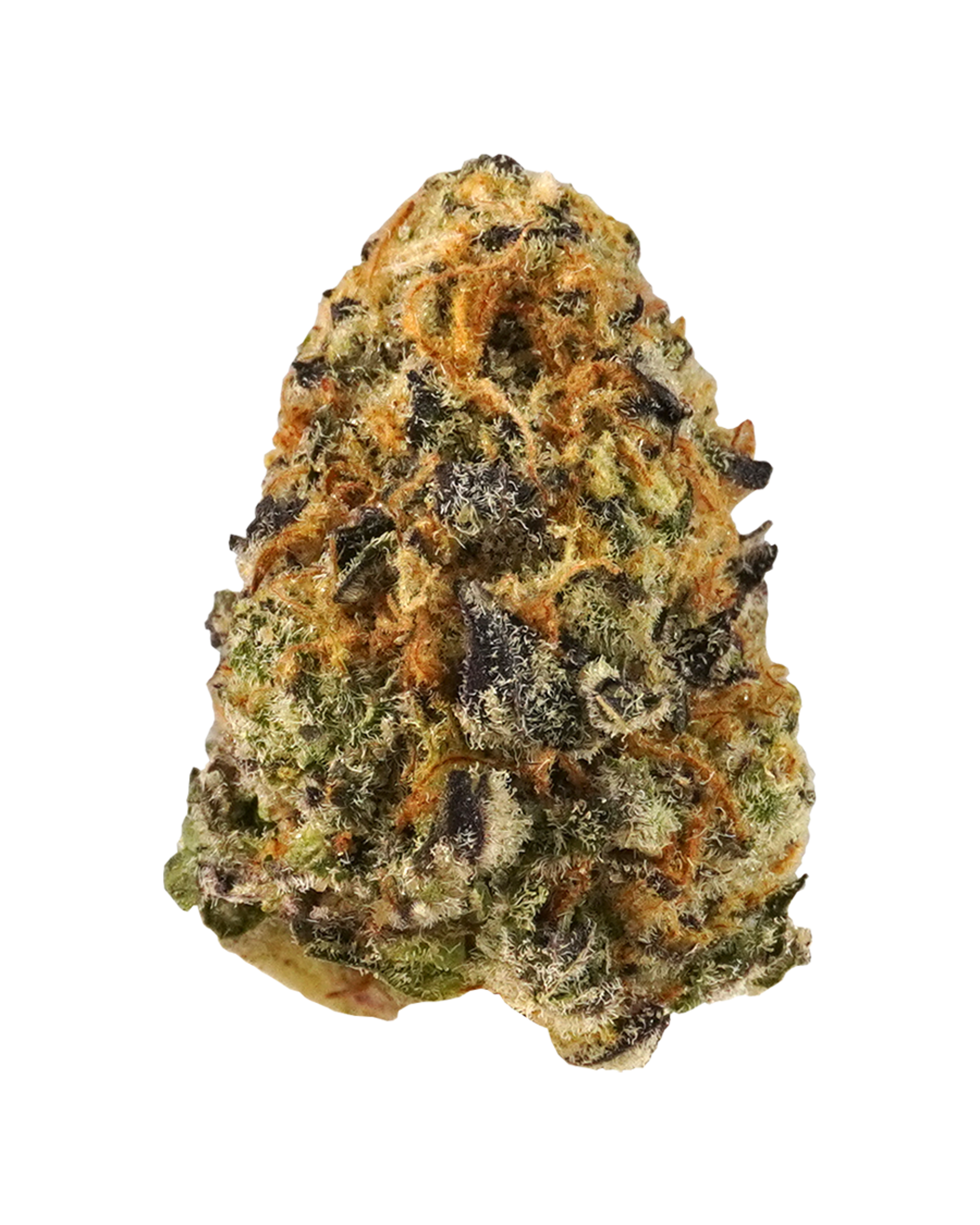 Lilac Diesel #1 Flower